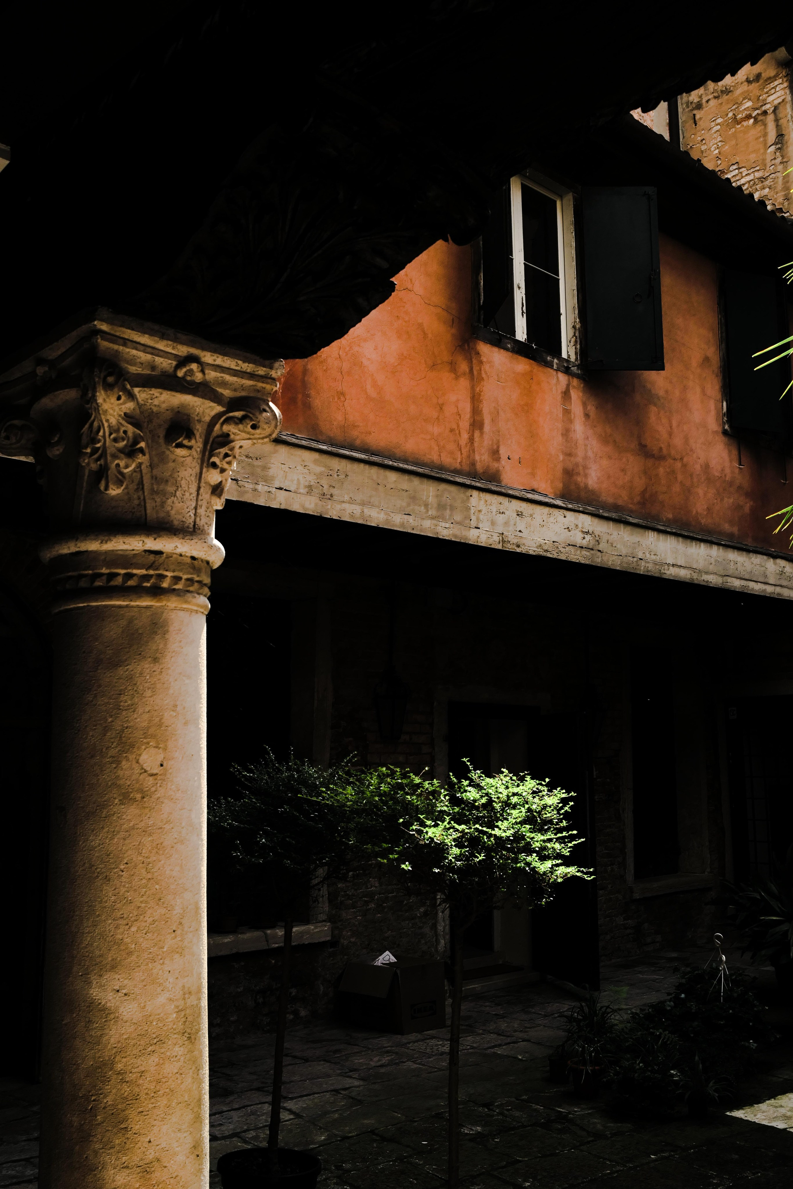 Venice. Фотограф Евгения Добротворская