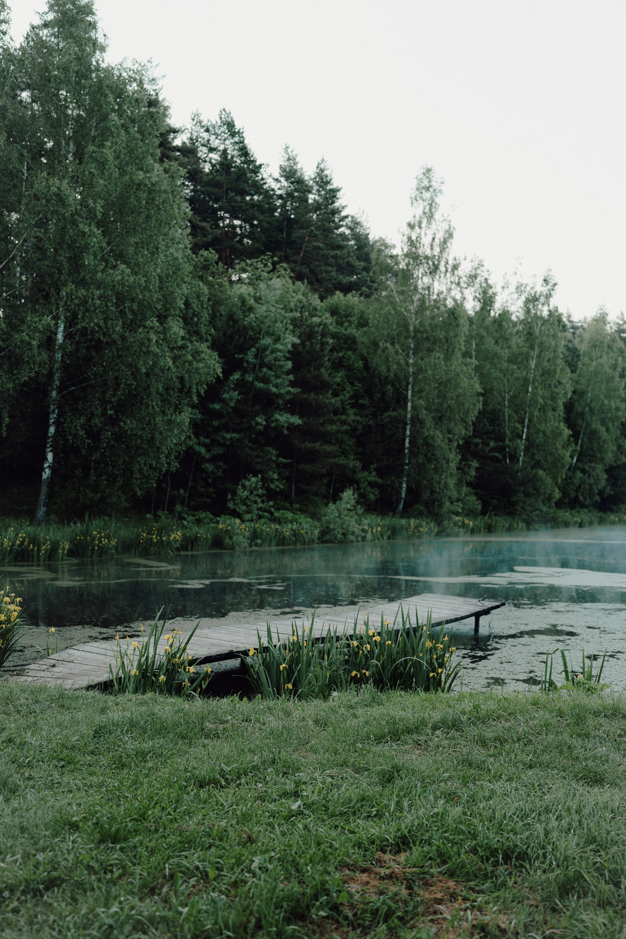 Лера. Фотограф в Москве, Новой Москве, Подмосковье  — CANDYRAY