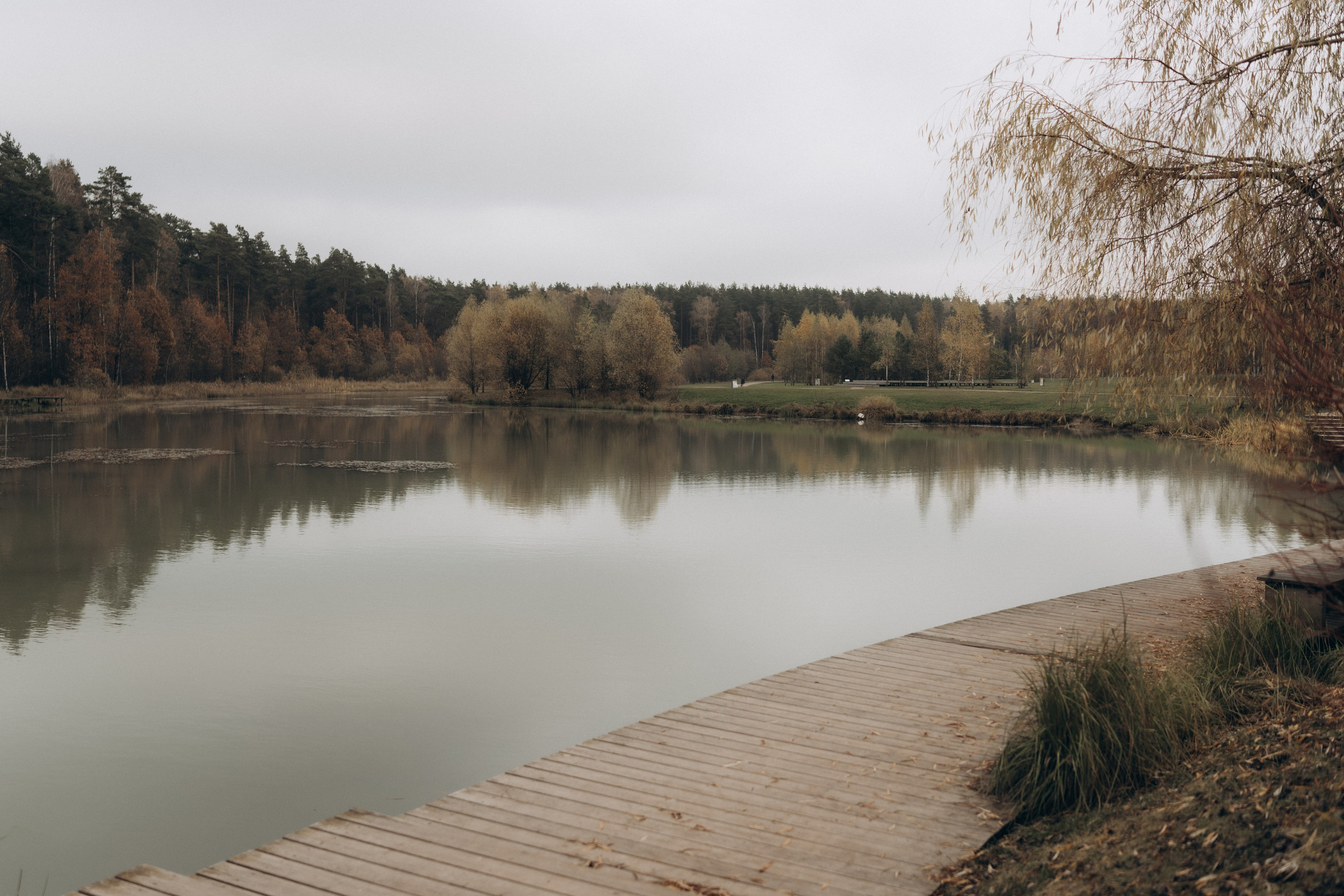 Мещерский лес осень. Портретный фотограф в г. Москва Солнцево Яковлева Анастасия