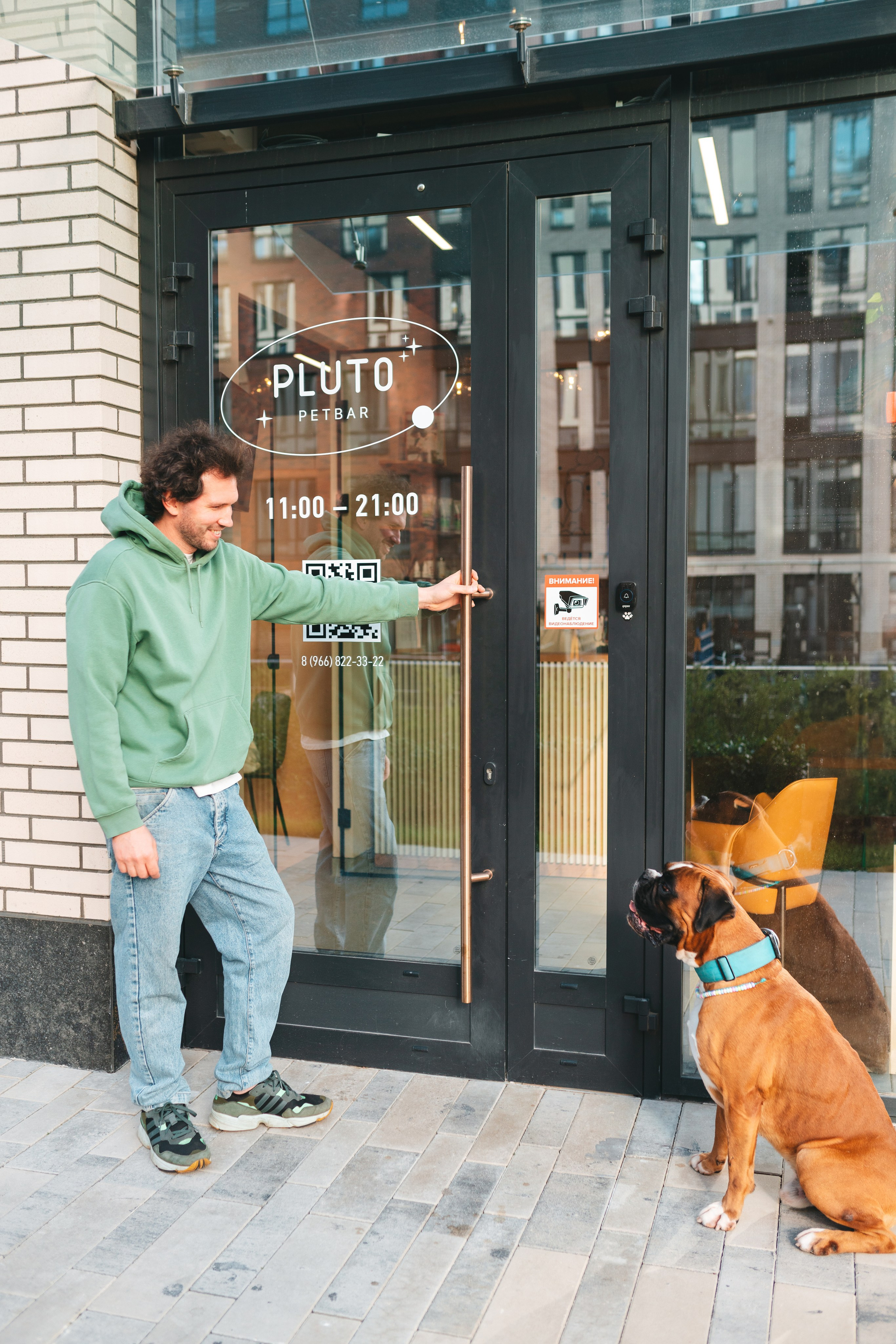 Груминг — салон. Фотограф анималист Осипчикова Мария