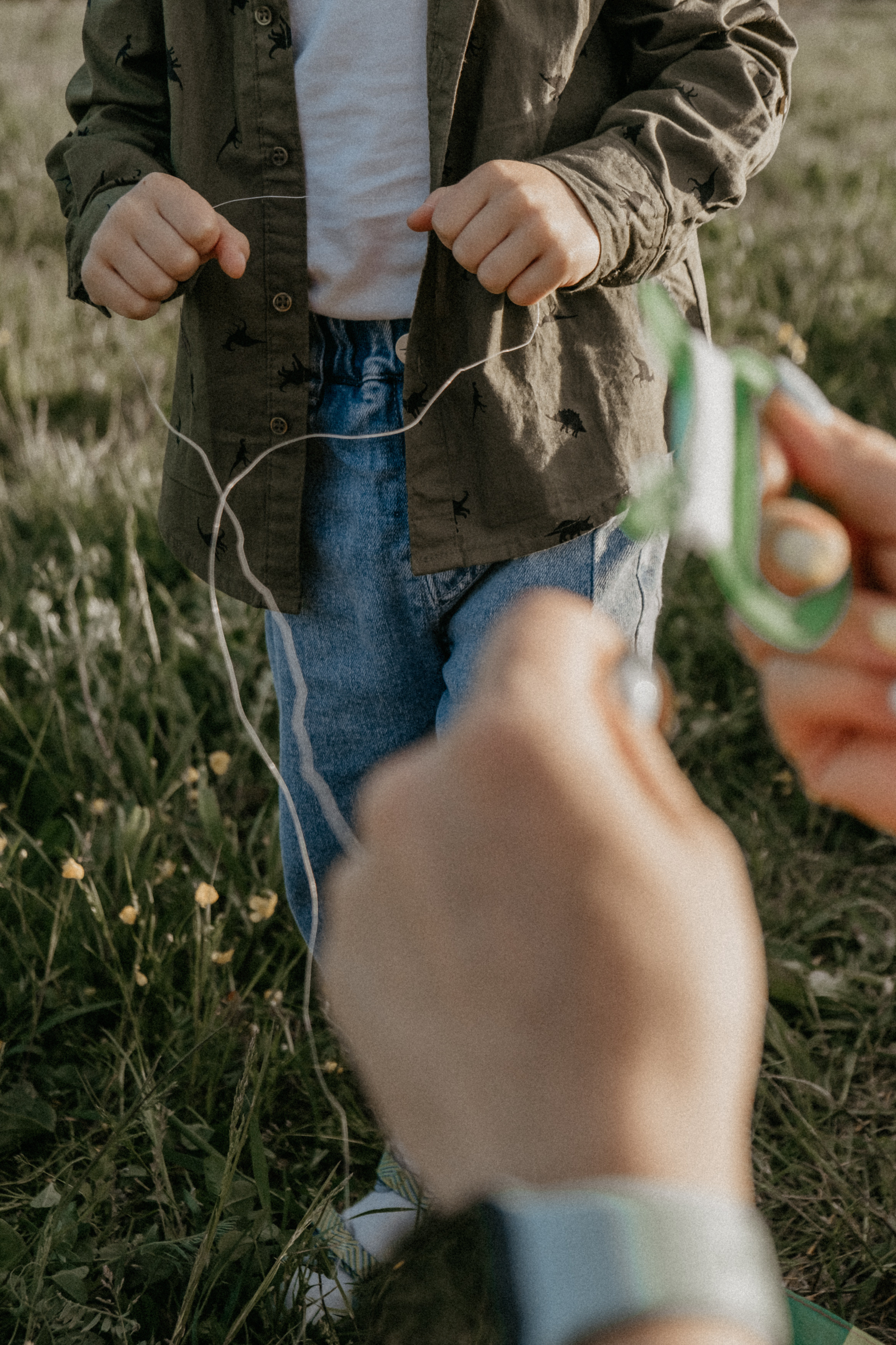 Ветром единым. Самойленко Надежда фотограф
