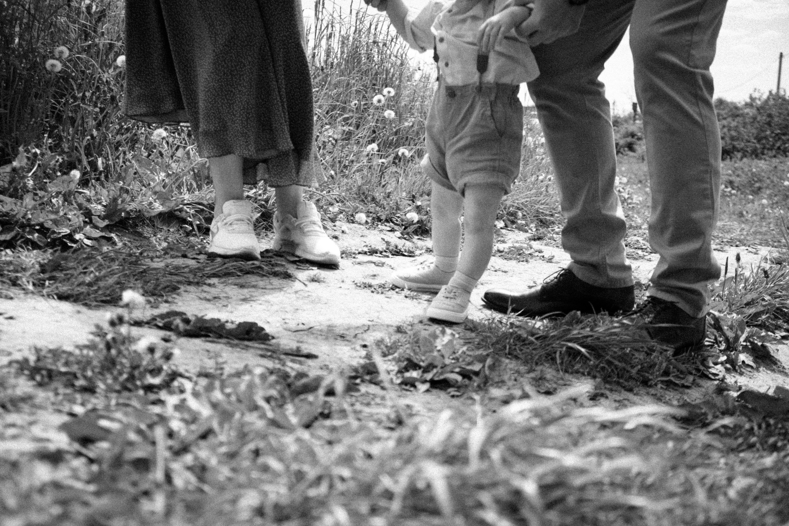 Когда деревья были большими. Самойленко Надежда фотограф
