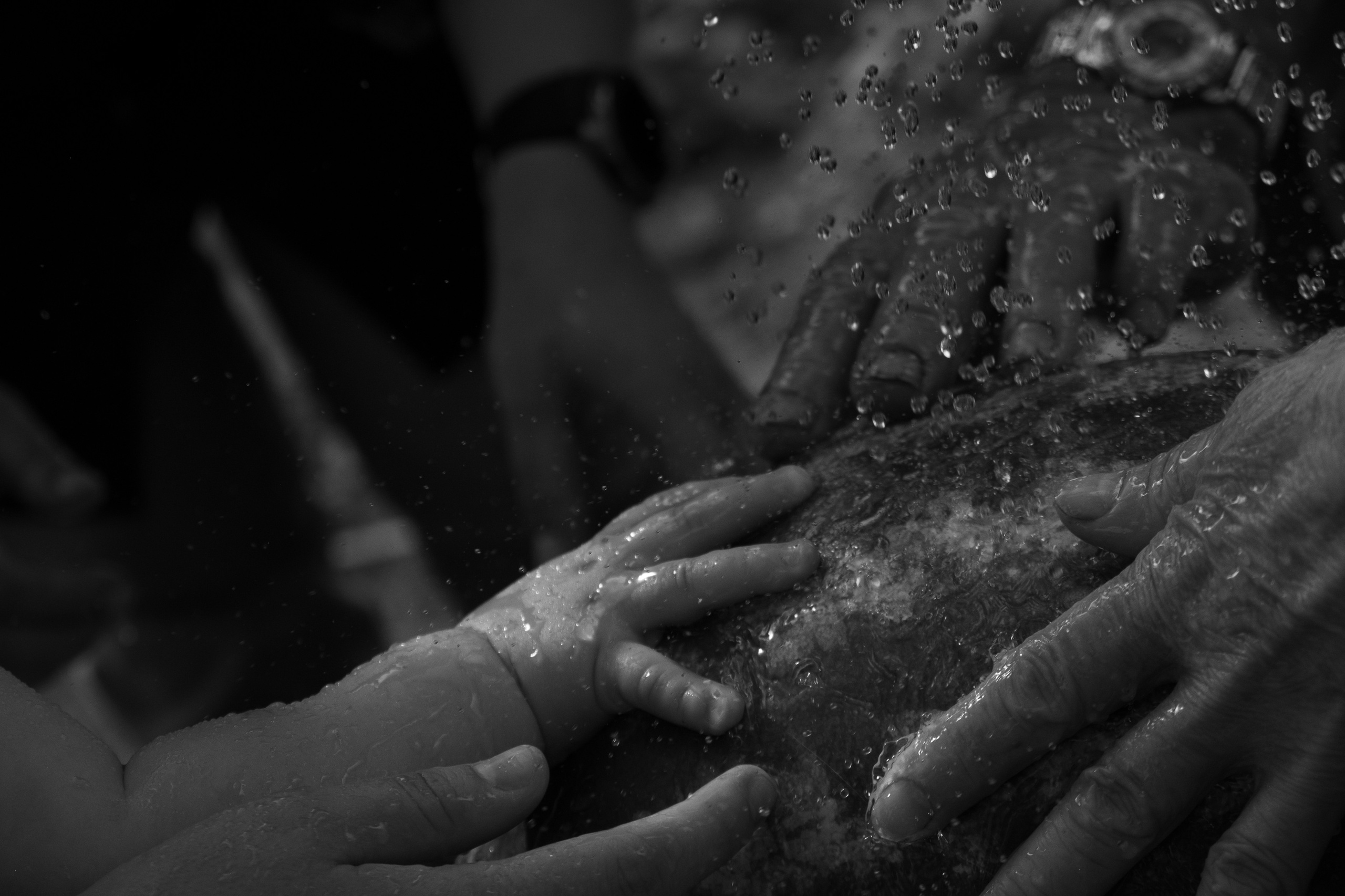 Самойленко Надежда фотограф