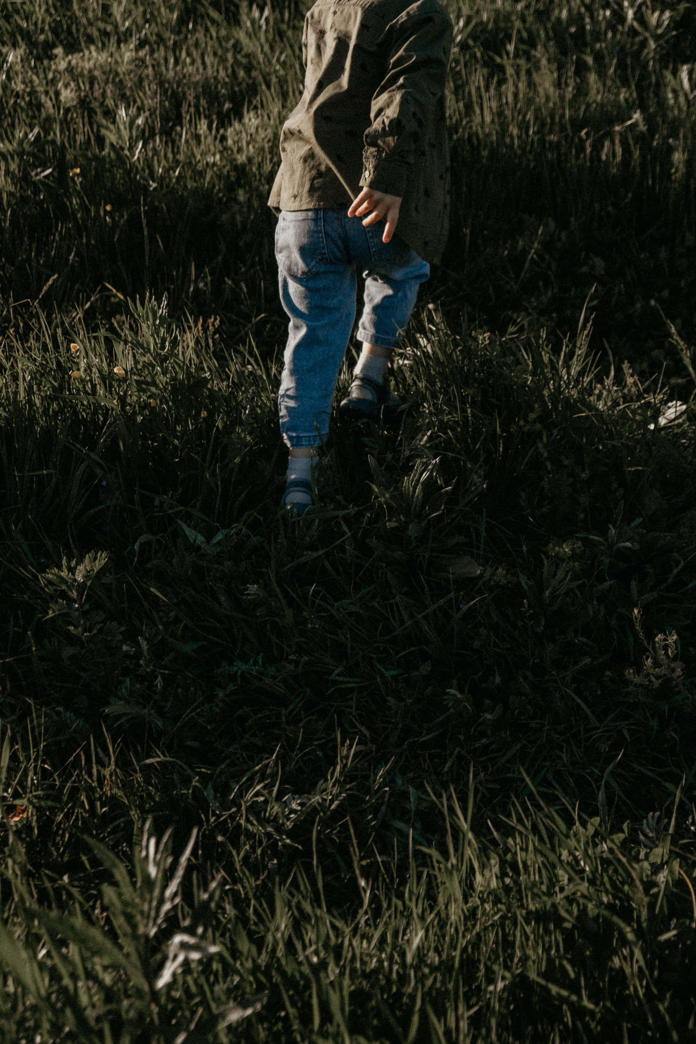 Ветром единым. Самойленко Надежда фотограф