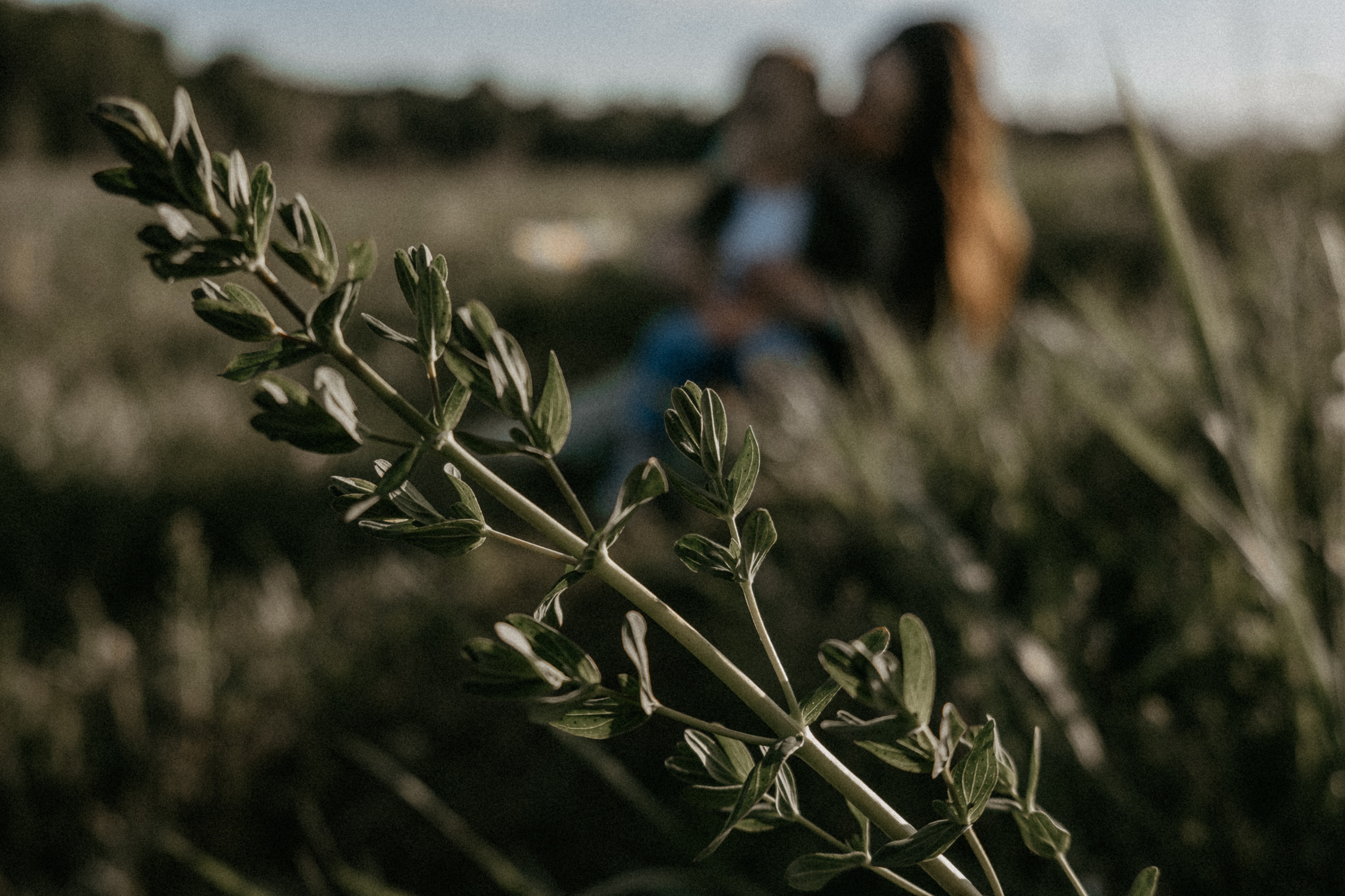 Ветром единым. Самойленко Надежда фотограф