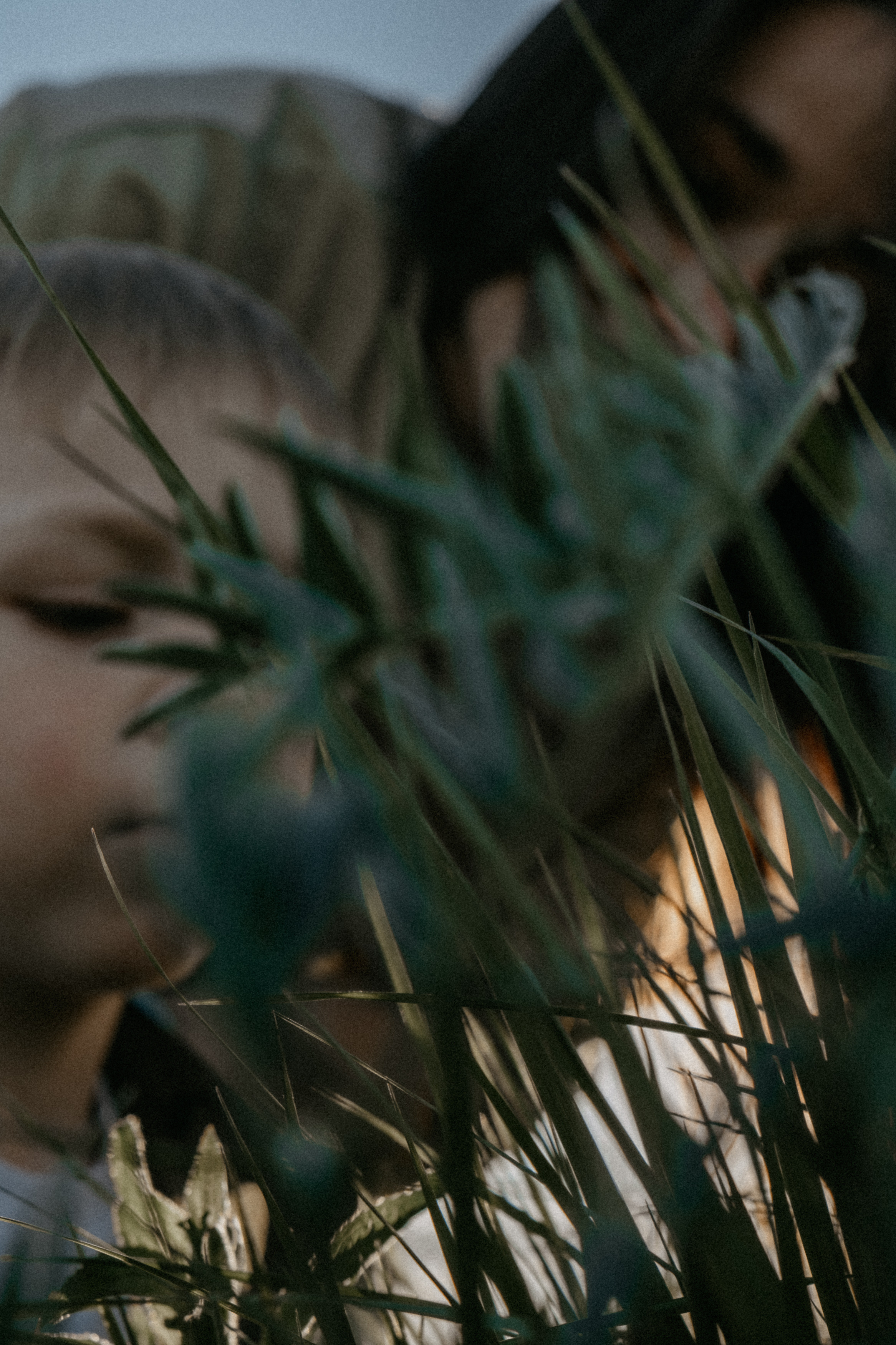 Ветром единым. Самойленко Надежда фотограф