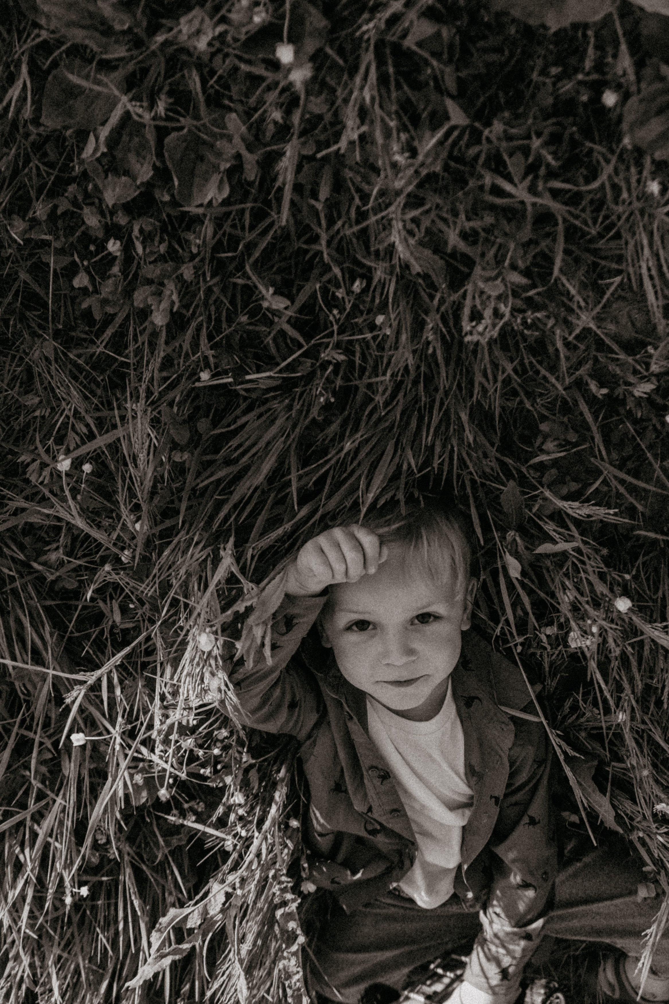 Ветром единым. Самойленко Надежда фотограф