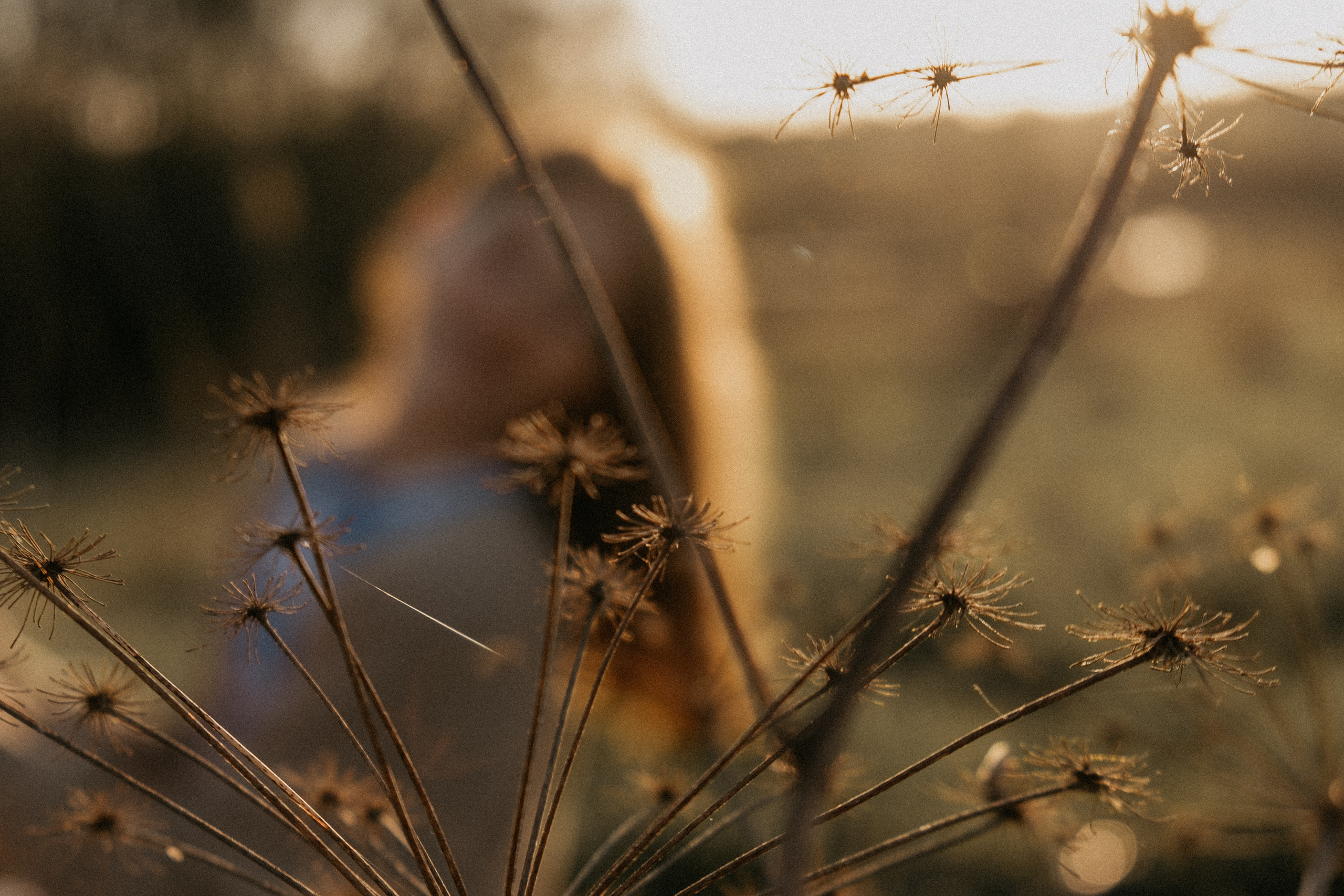 Тёплый Май. Самойленко Надежда фотограф