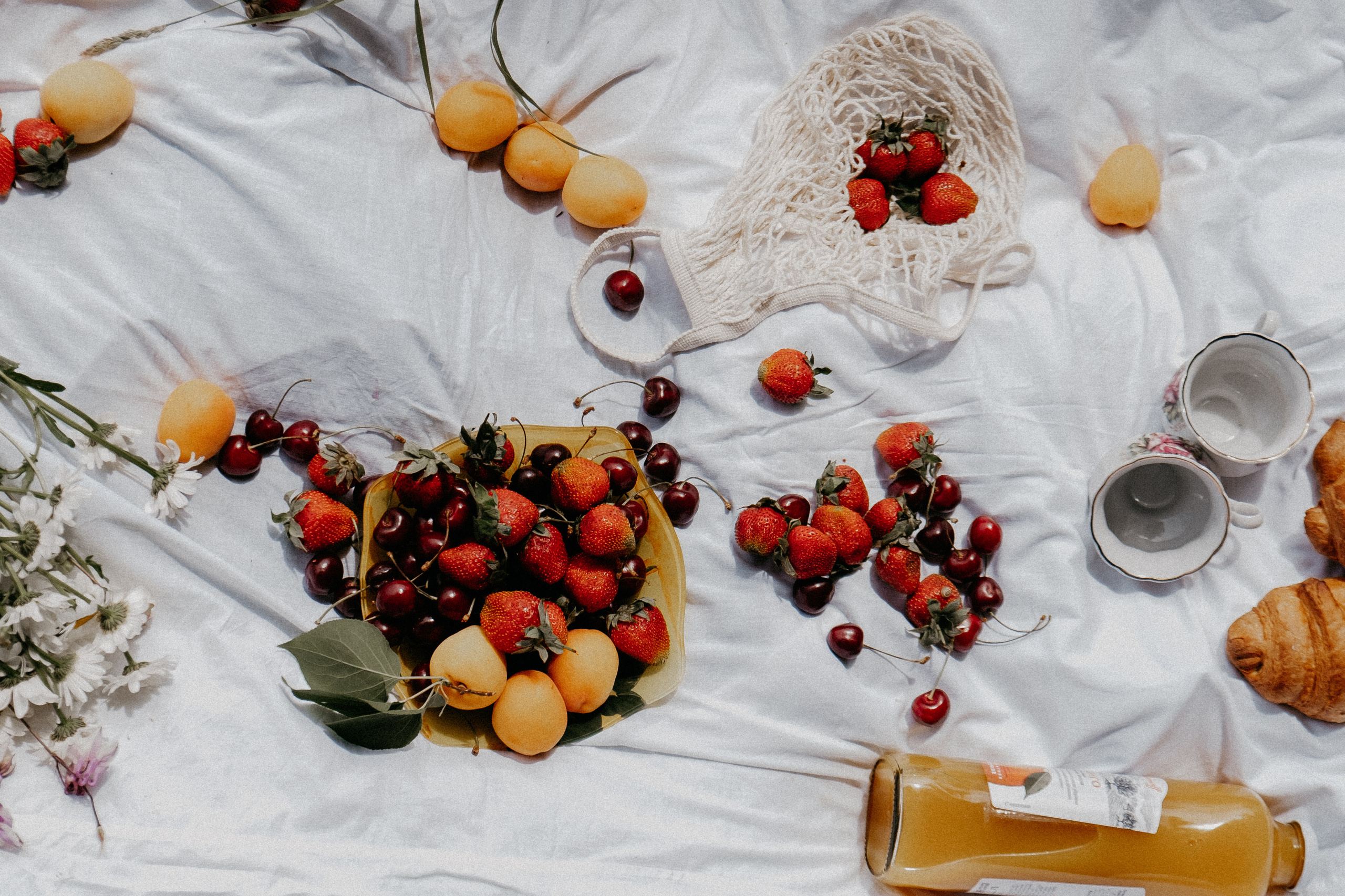 Когда деревья были большими. Самойленко Надежда фотограф