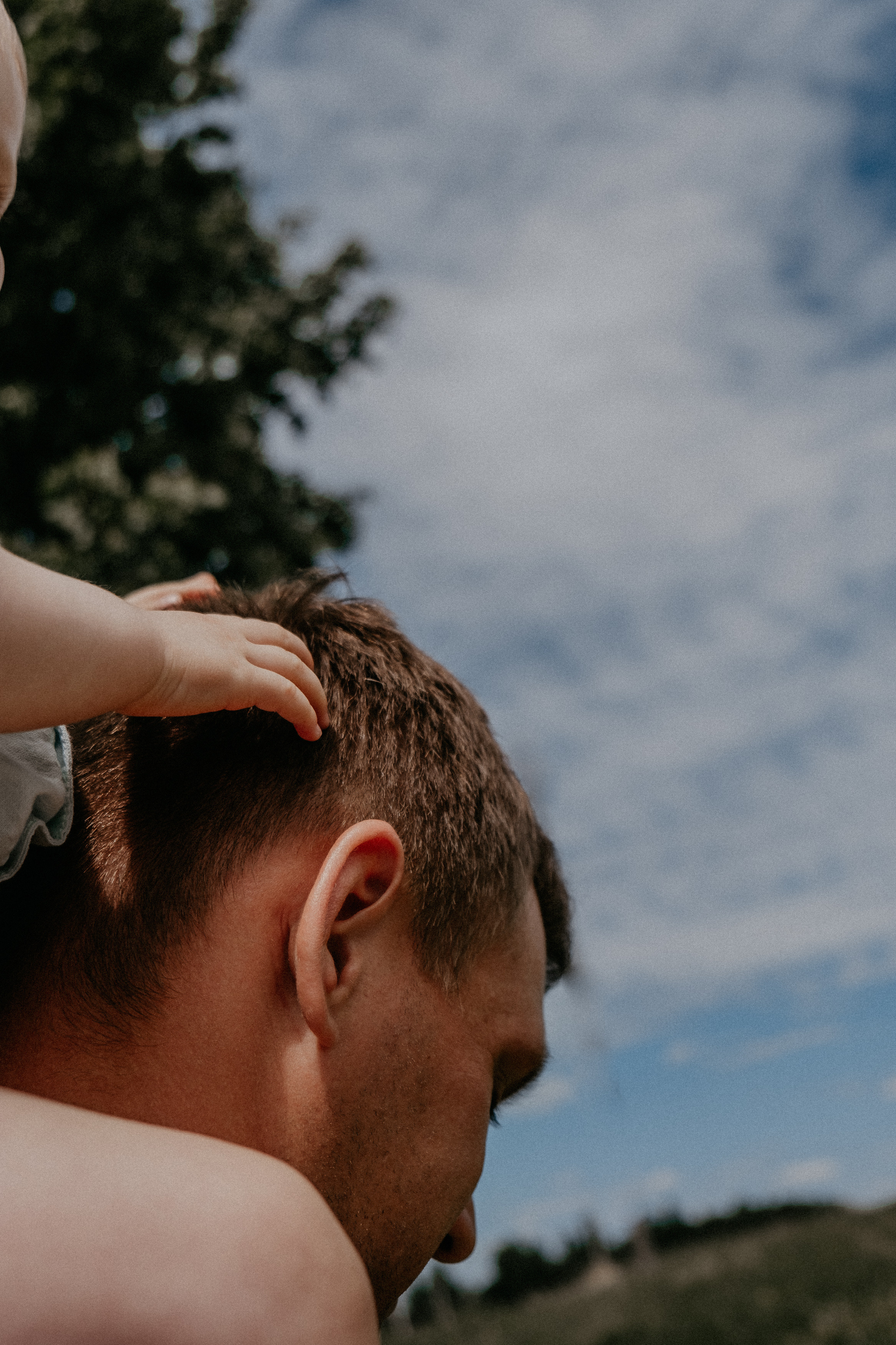 Когда деревья были большими. Самойленко Надежда фотограф