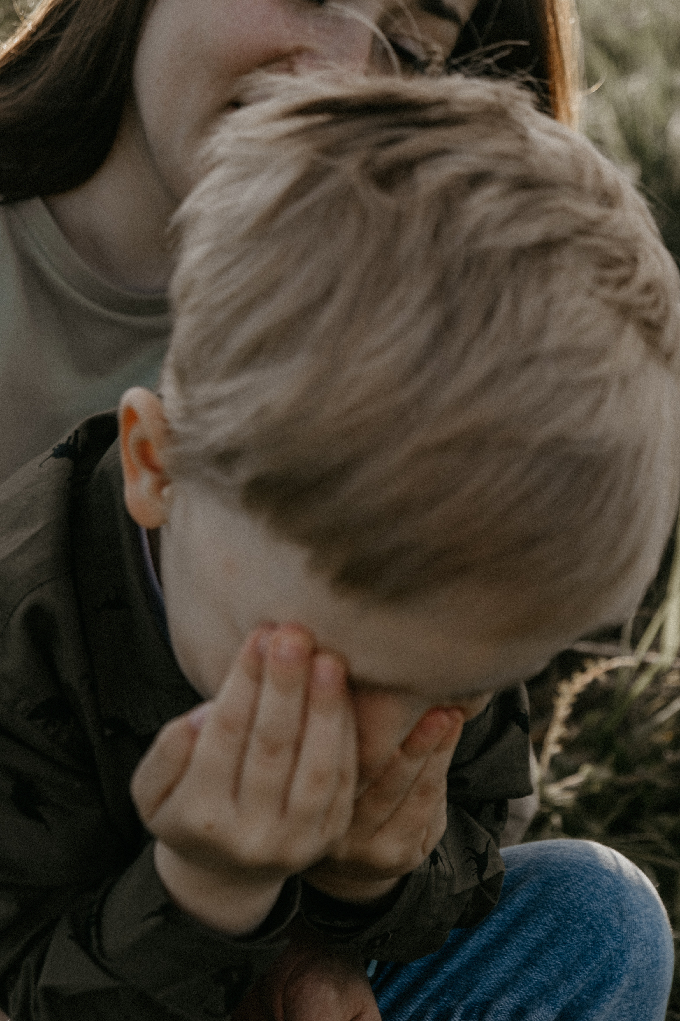 Ветром единым. Самойленко Надежда фотограф