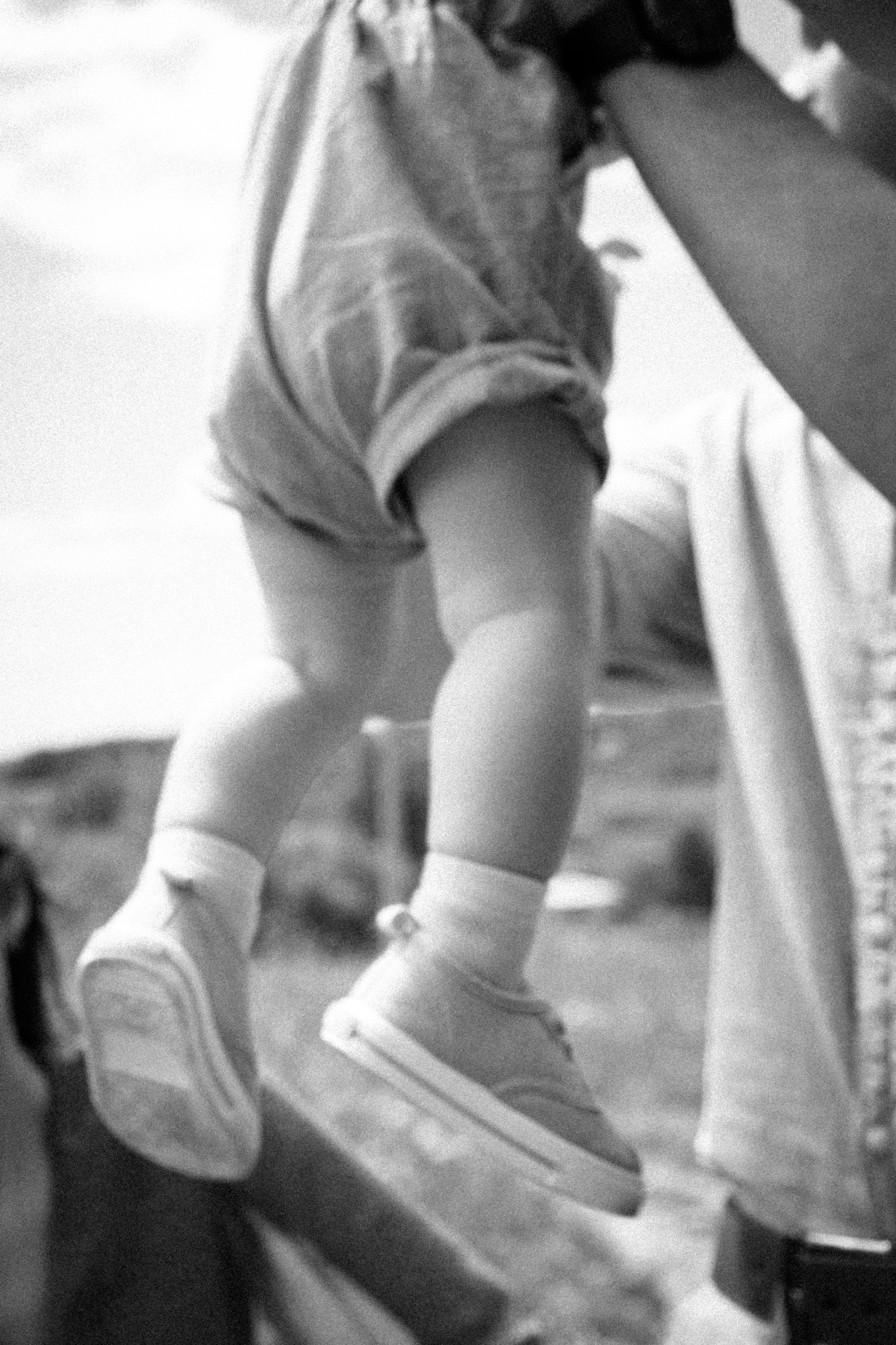 Когда деревья были большими. Самойленко Надежда фотограф