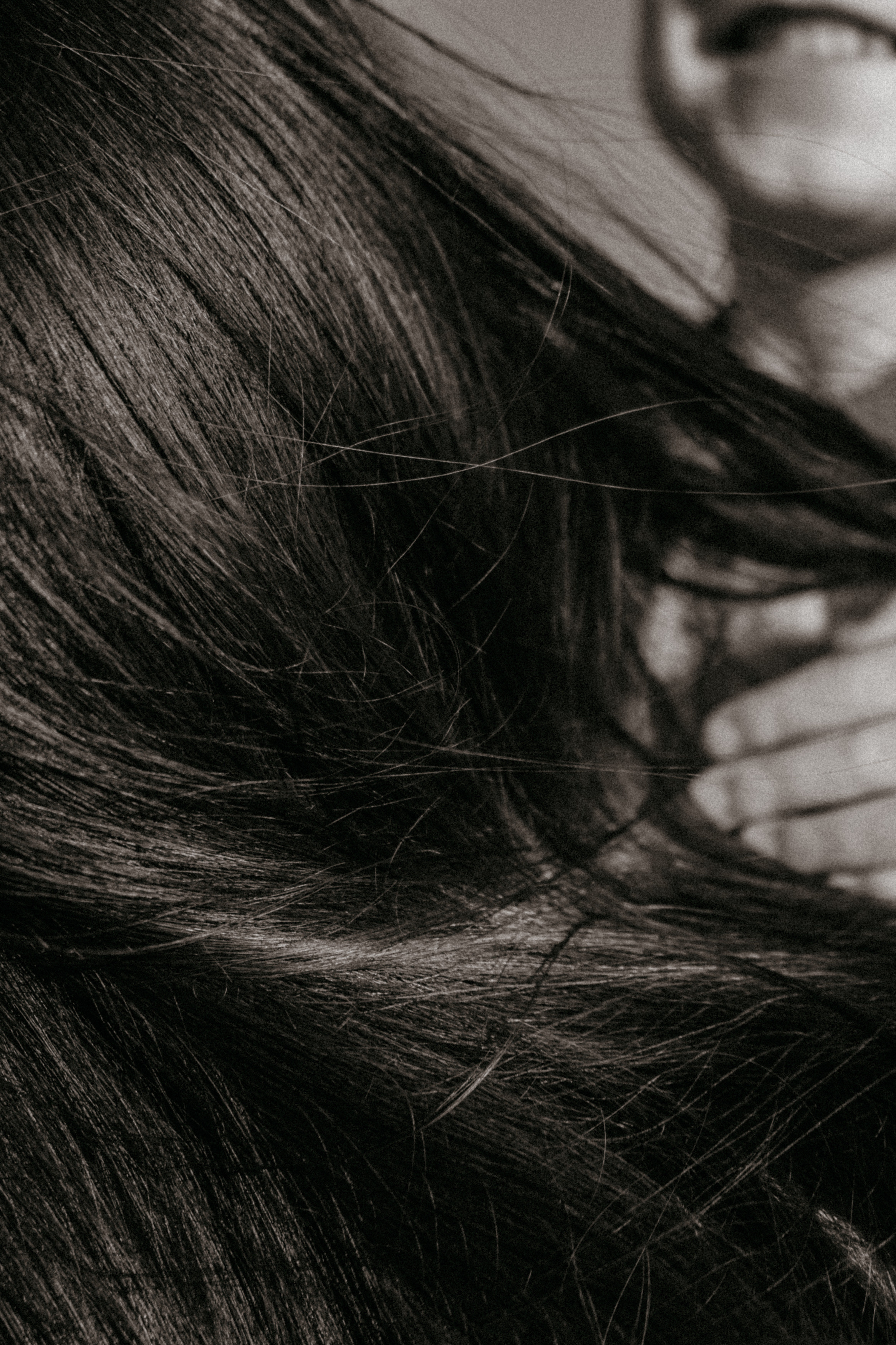 Ветром единым. Самойленко Надежда фотограф