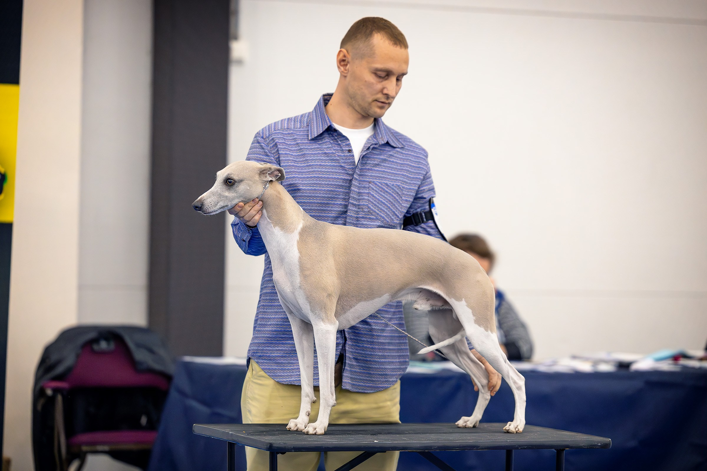 26–27 апреля 2025, Выставка РКФ, г. Санкт-Петербург. Htykk_photo