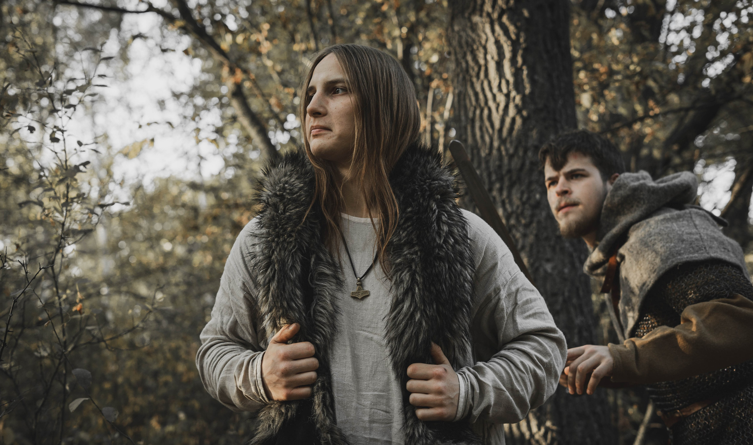 Викинг. Ab extra