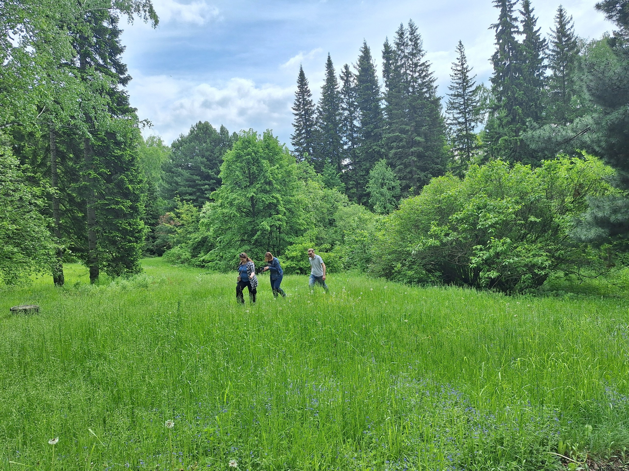 Новосибирск | 2024. Галерея Фантим