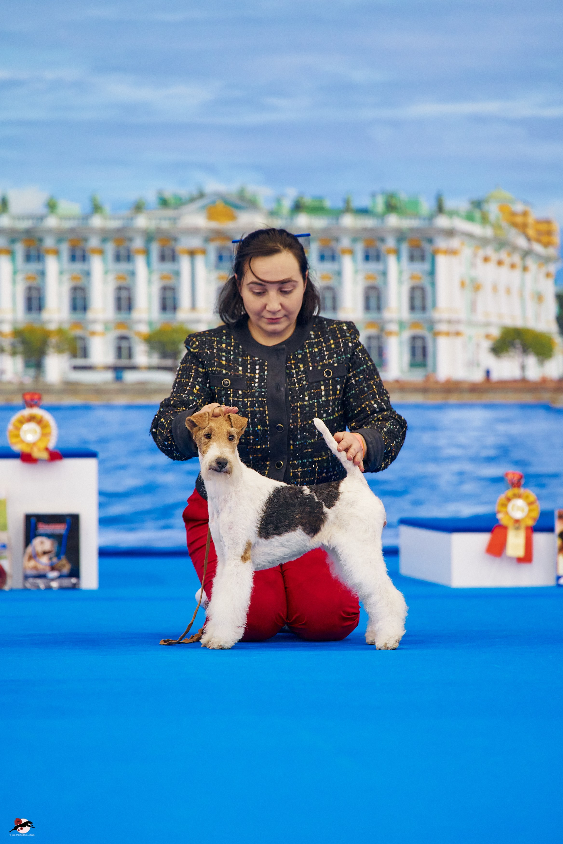 27.04.2025 | "Петербург-Элита 2025" & «КУБОК «ЭЛИТЫ»-2025»