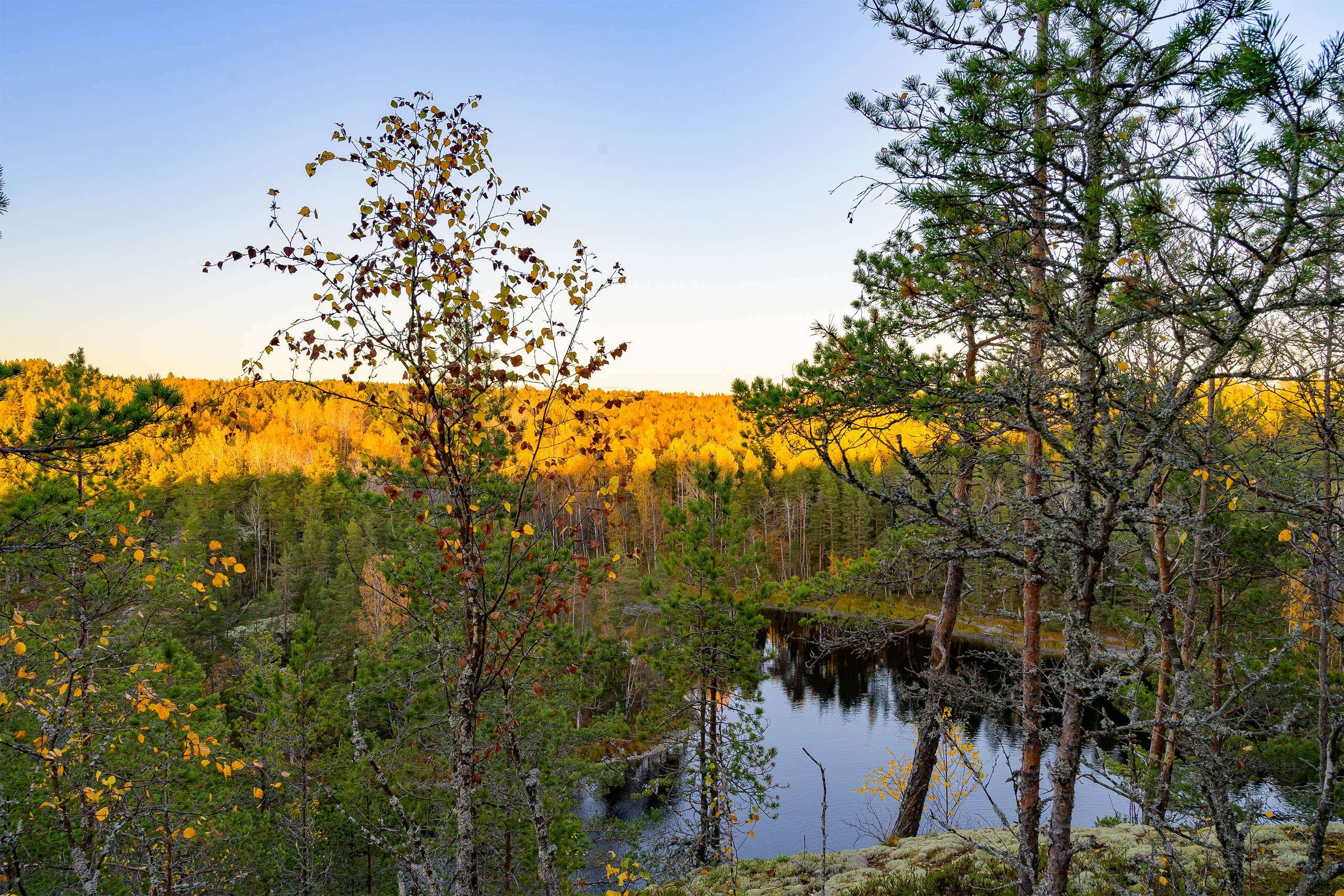 Пейзажики. Фотограф из Боровска в Калужской области