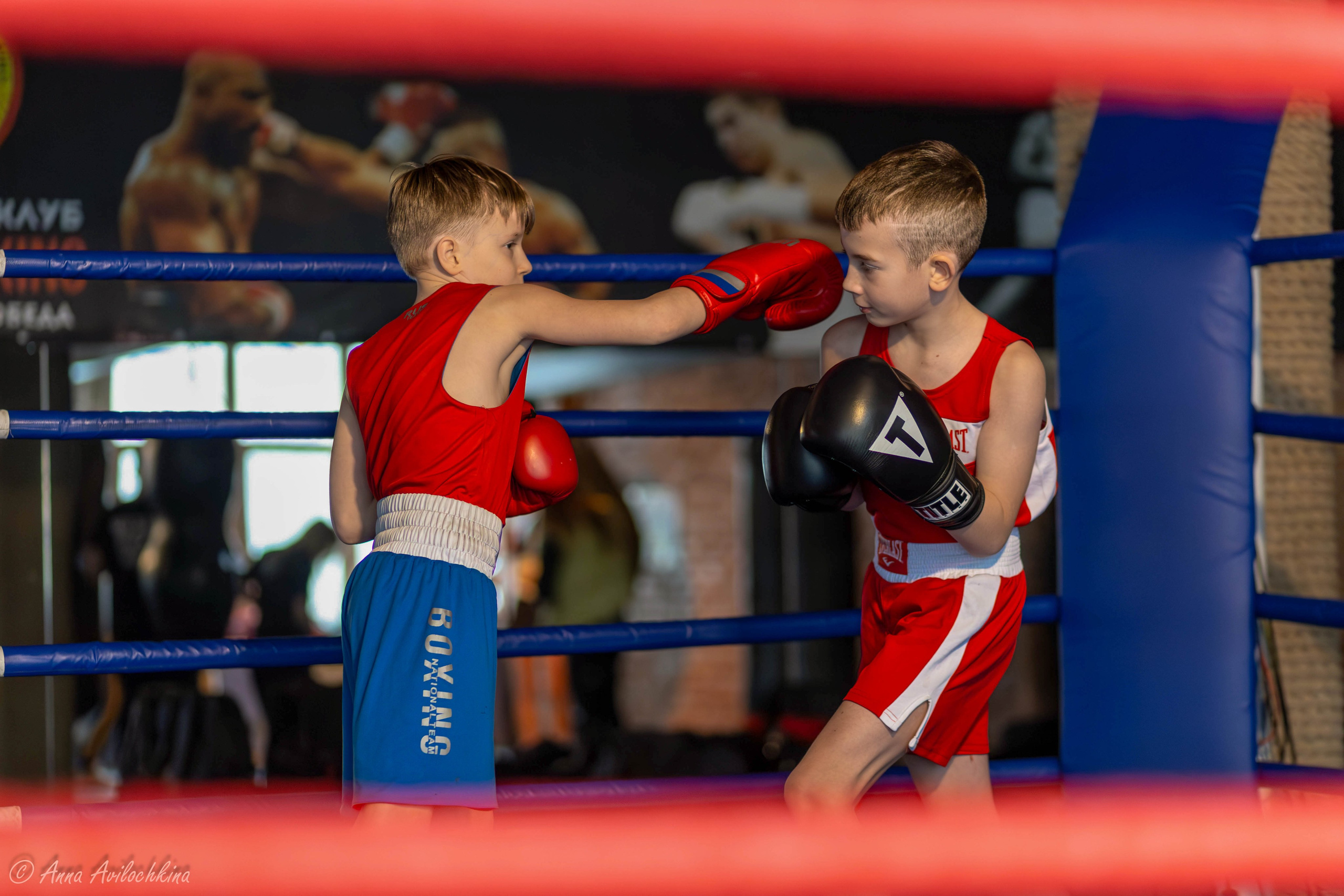Альбомы контент-съёмок. Семейный и свадебный фотограф в Москве и Домодедово Анна Авилочкина