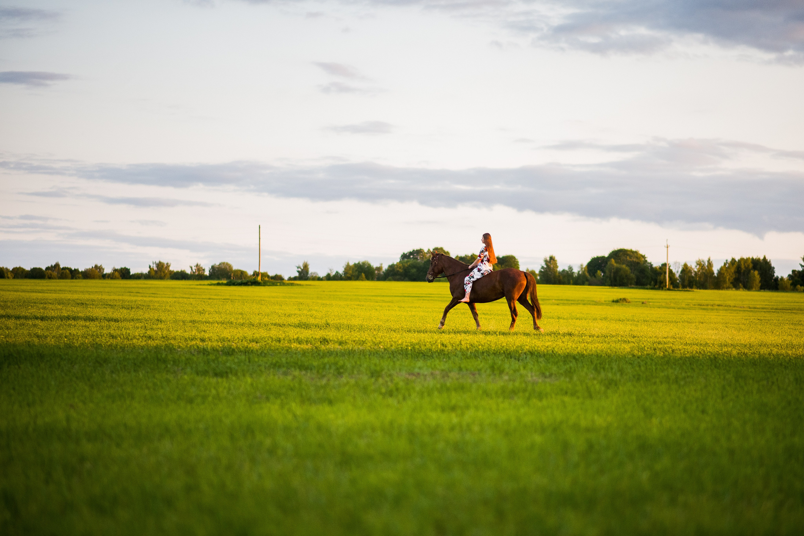 Лиза и Рамина — 04.06.2023. Фотограф — Анималист | Анна Абрамова