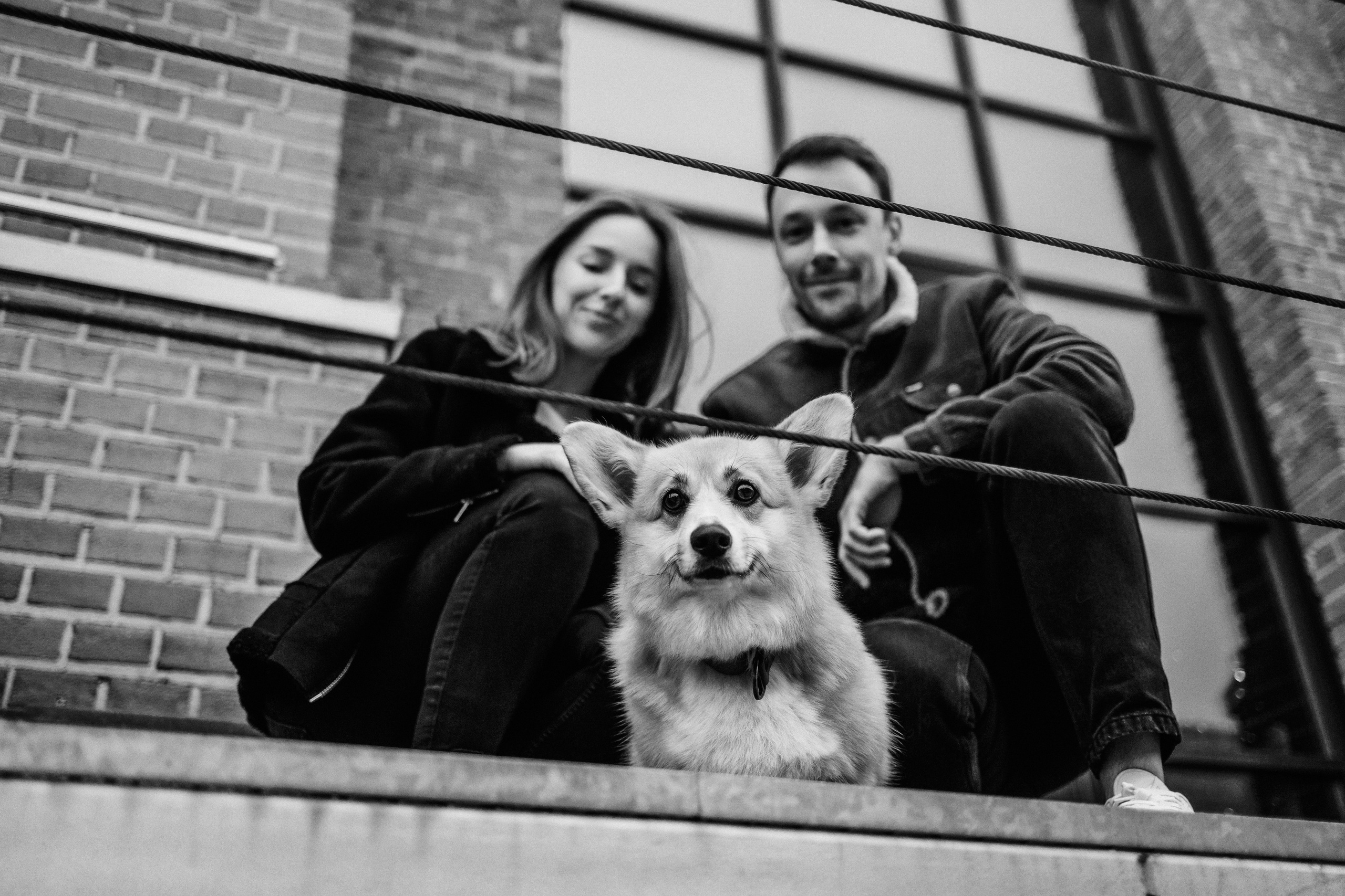 Вера, Саша и Муна. Фотограф-анималист Елена Радченко, Москва