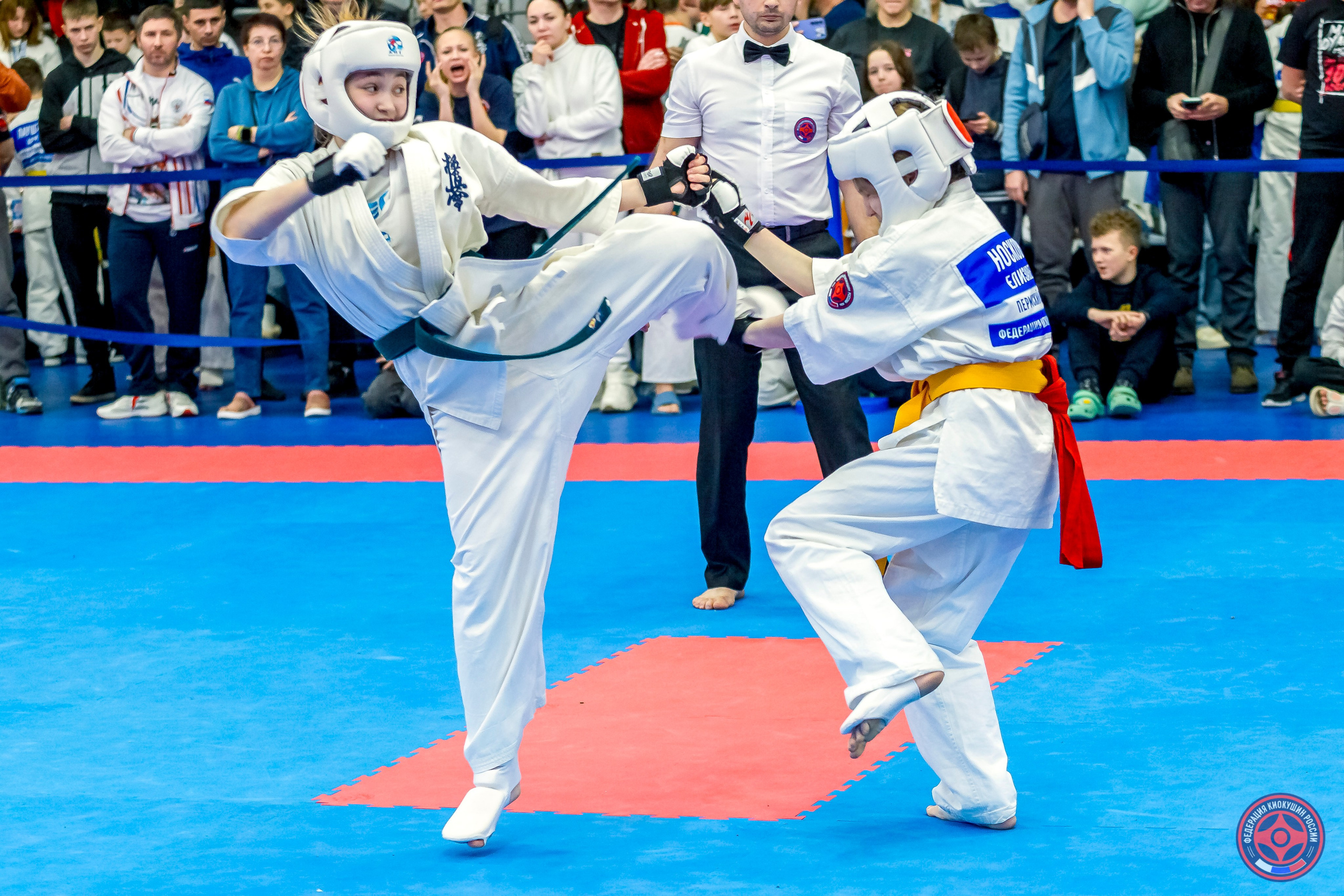 Международный турнир по киокушин «Открытый кубок Seiken». Репортажная съемка в Москве и области. Анималистика