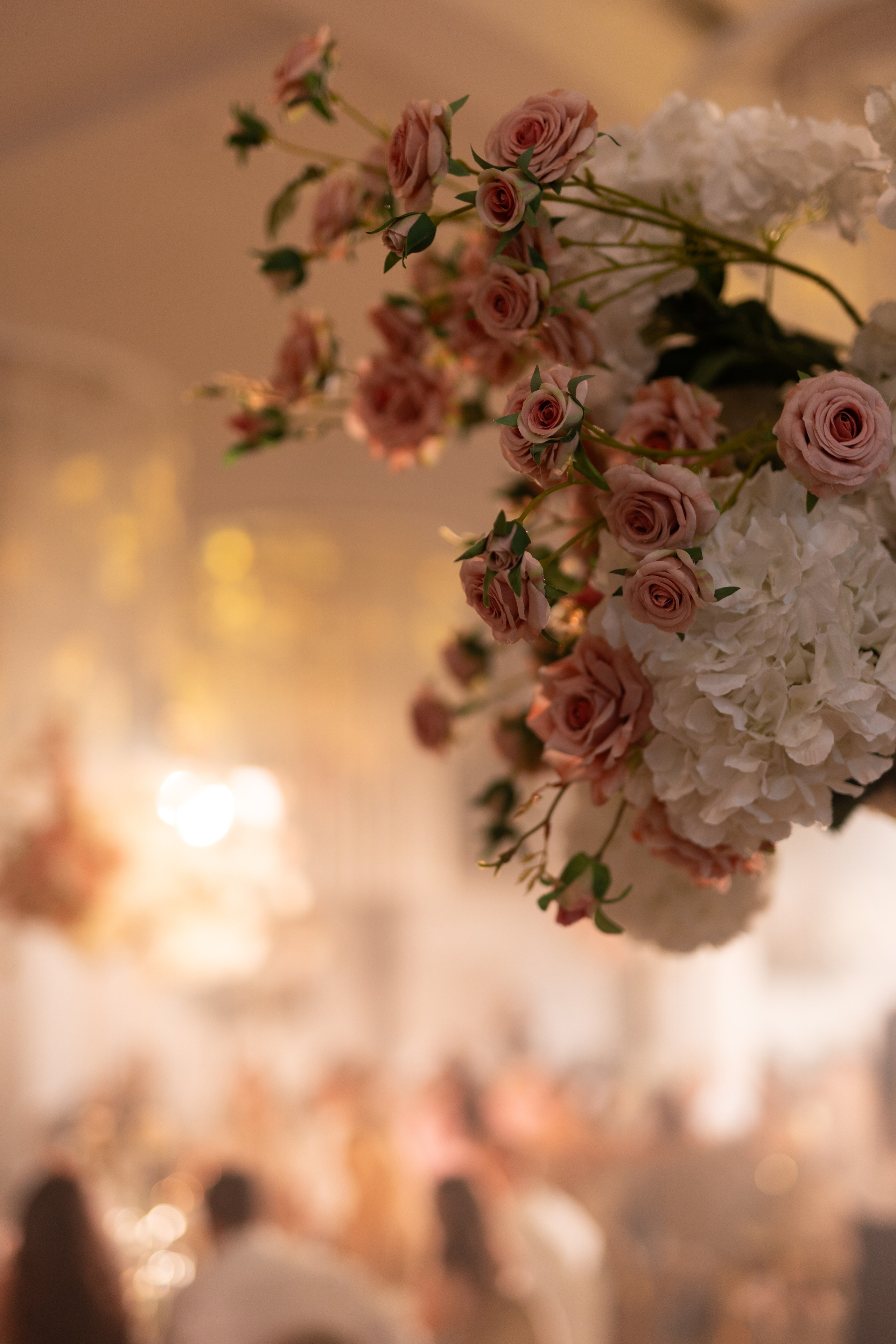 Герберы & звездные гости. Фотограф в Москве Анастасия Курлович