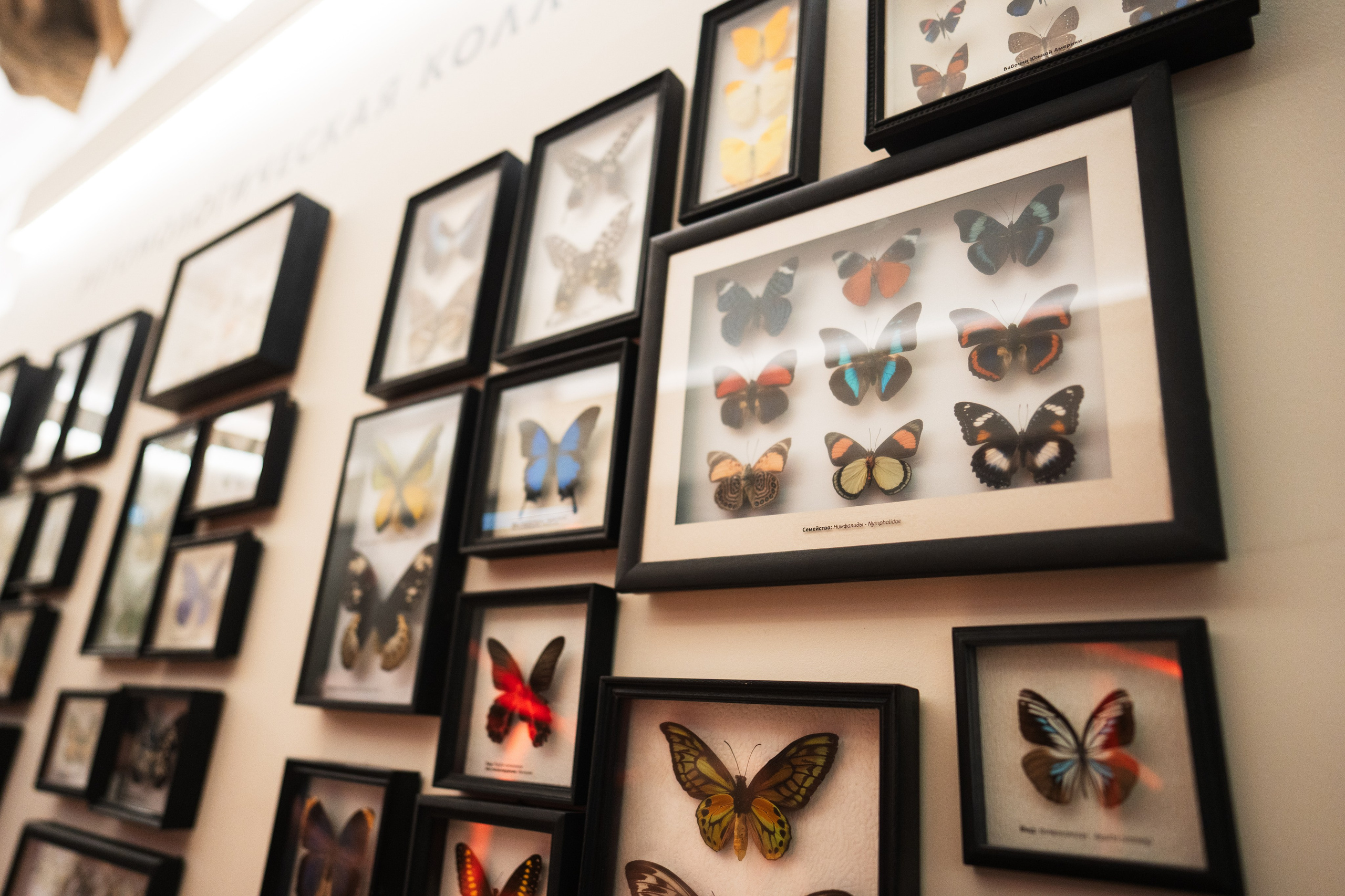 Ночь музеев 2024. Фотограф на любое событие в Кемерово