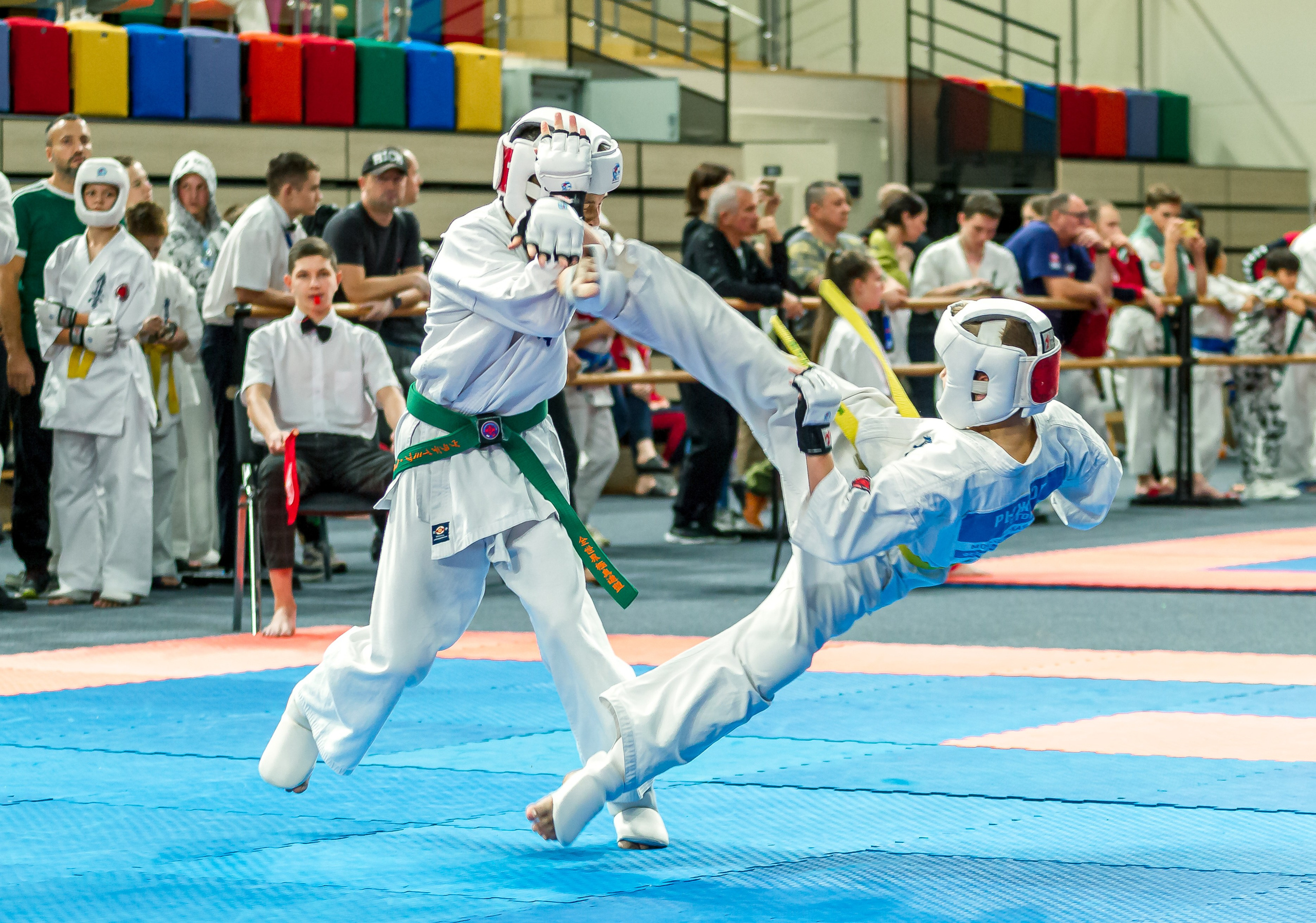 Первенство Московской области по Киокушин в СК «Жаворонки». Репортажная съемка в Москве и области. Анималистика
