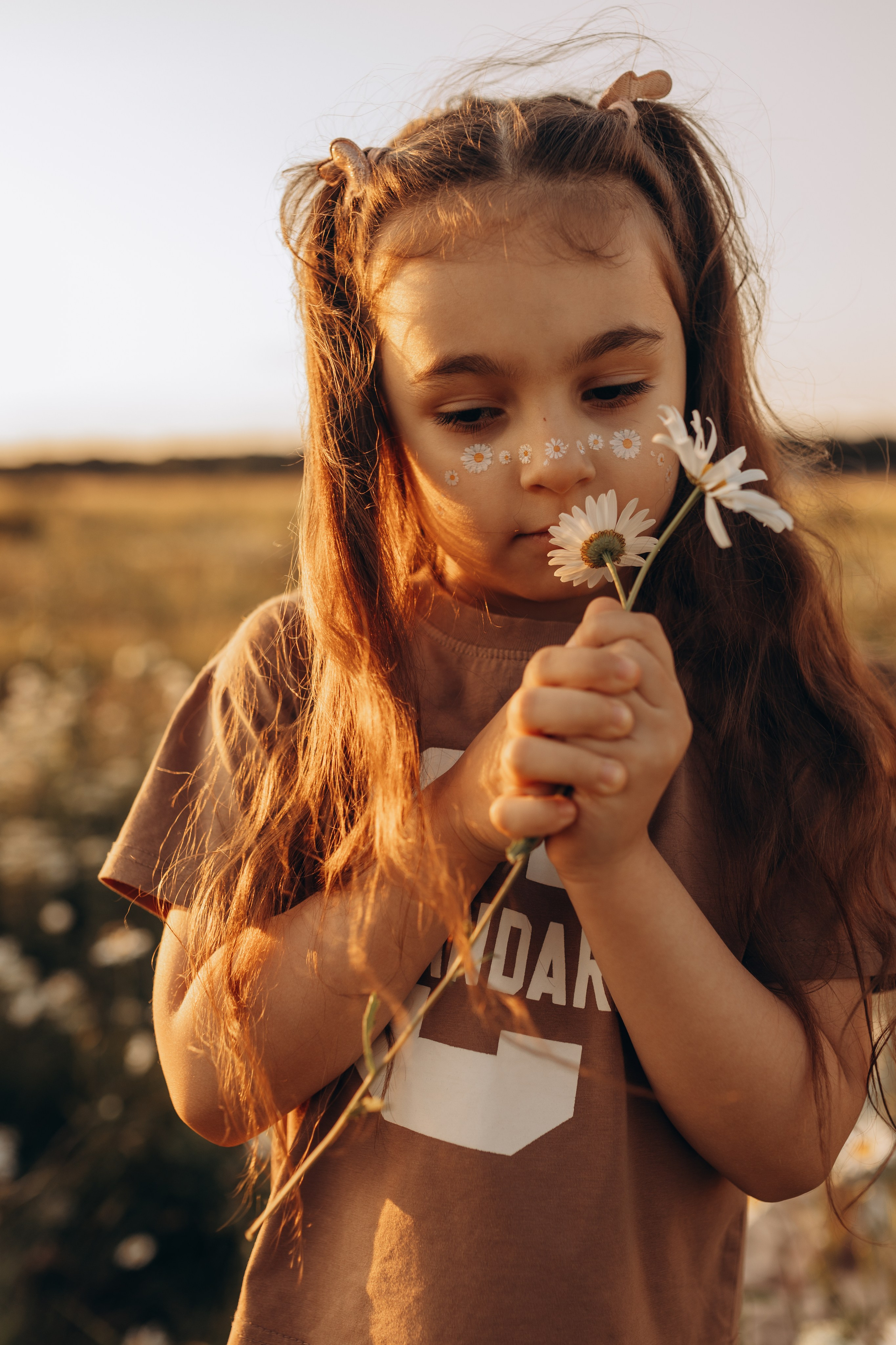 Закат на ромашковом поле. Фотограф в Ставрополе Svetlana Matveeva