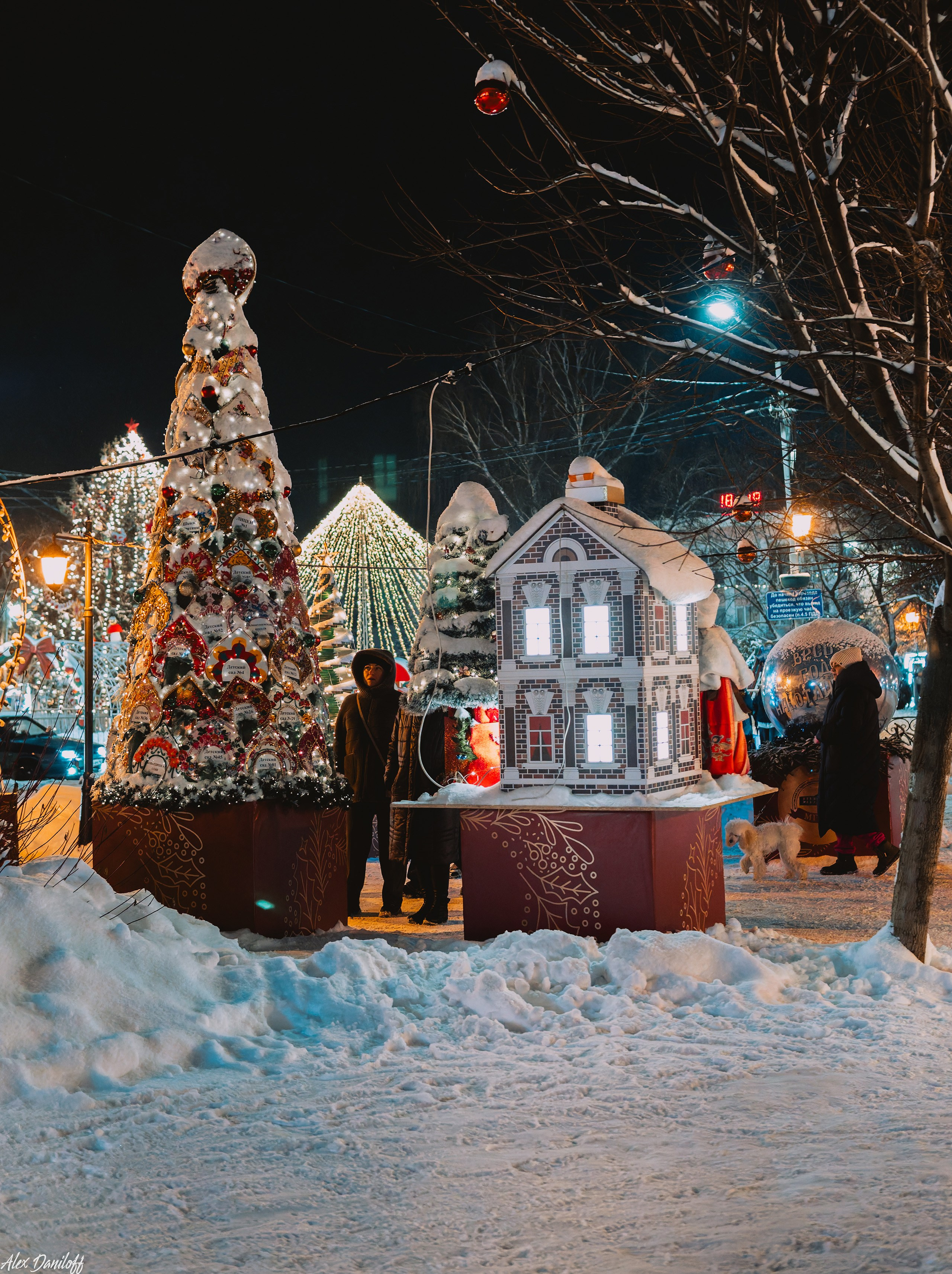 Елки 2025. Муром-Инфо. Новости культуры, образования, спорта в городе Муром