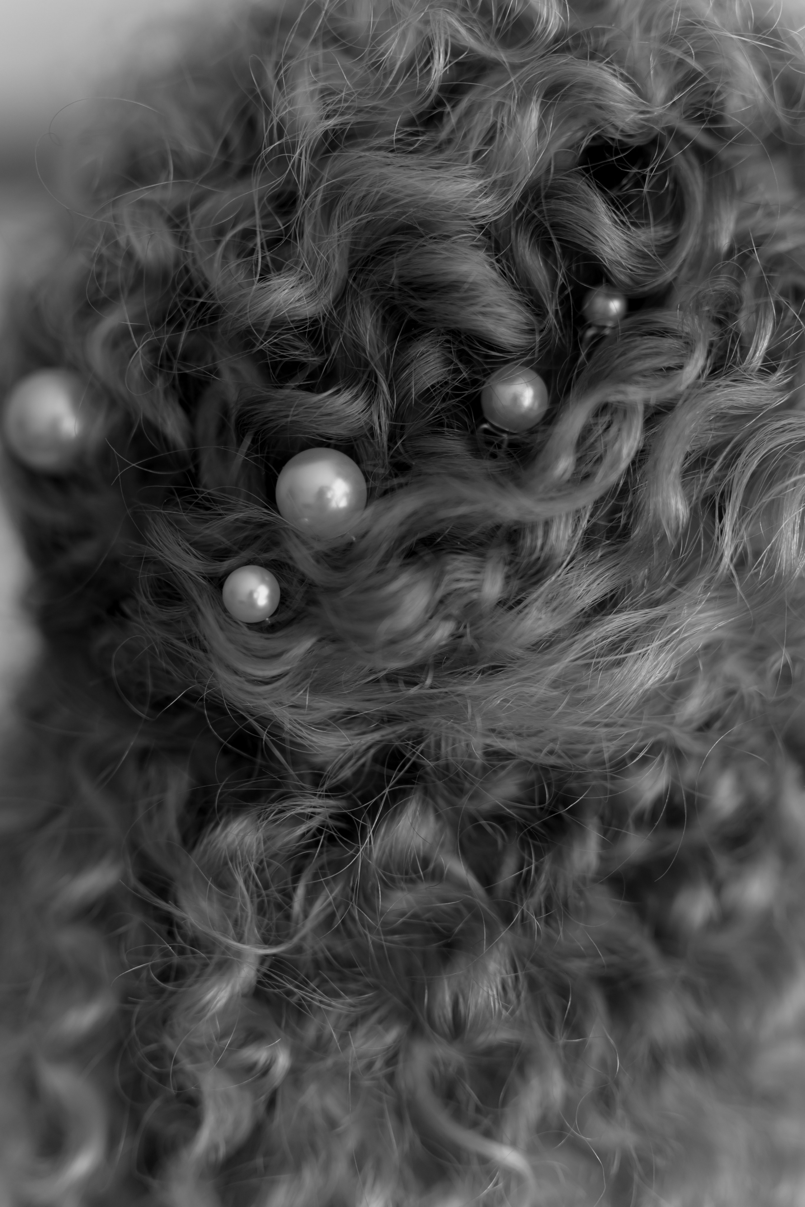 Свадьба Александра и Маргариты. Фотограф Кольчугино/Владимир/Москва Елизавета Иода