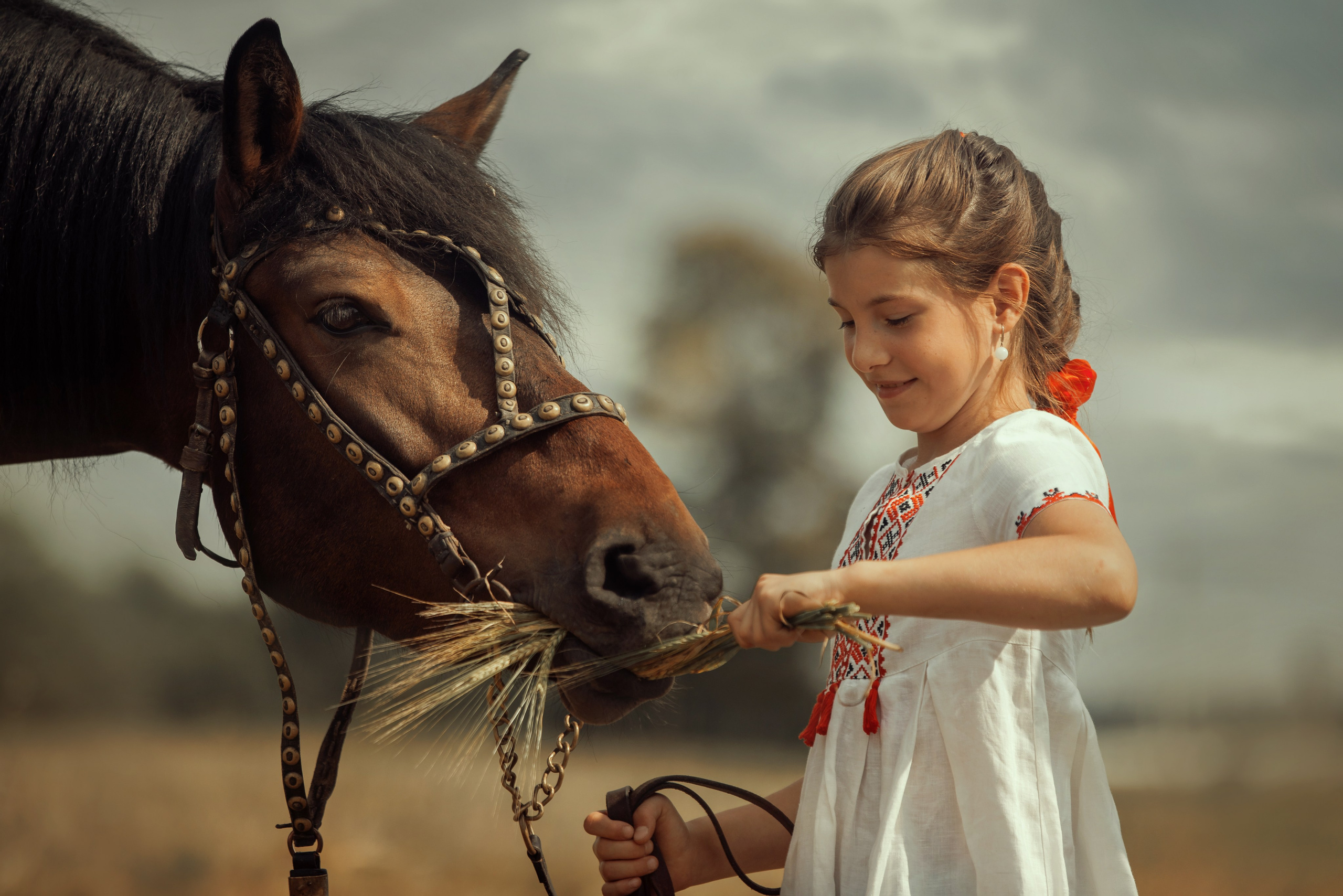 Конная съёмка. Взрослые. Детская Конная фотография в Москве Юлия Шепелева