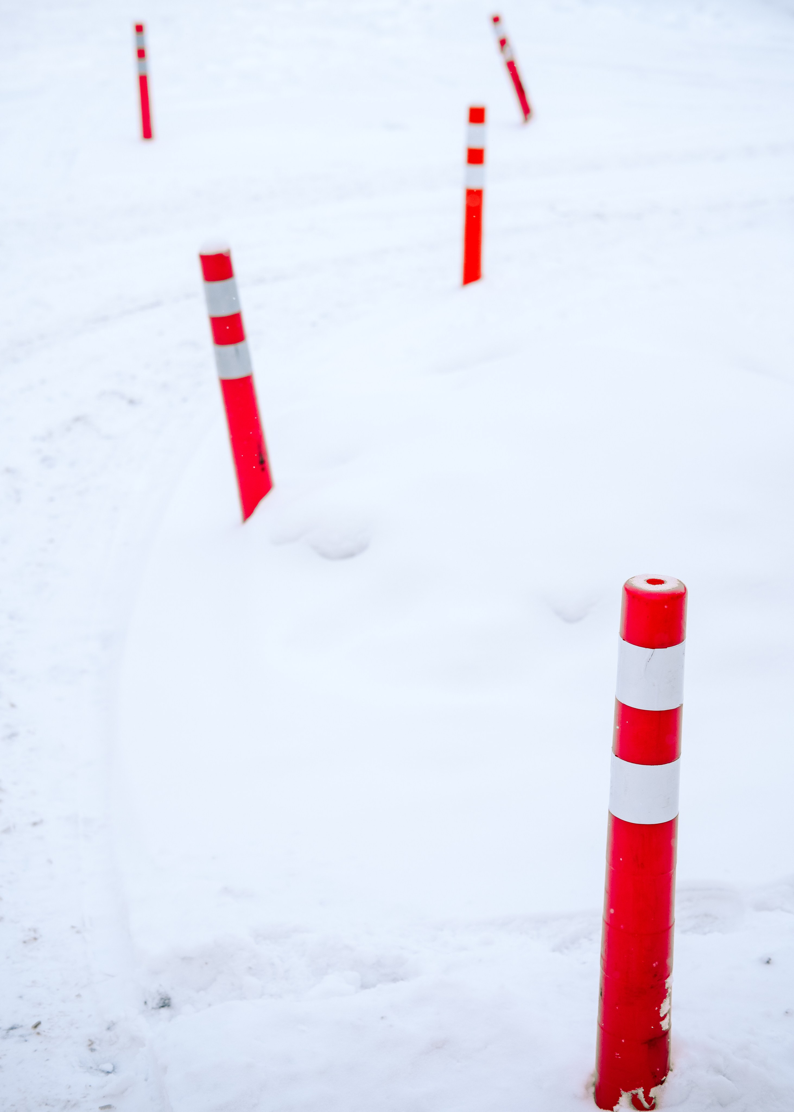 Наблюдения. Семейный фотограф в Новосибирске Артём Кузнецов