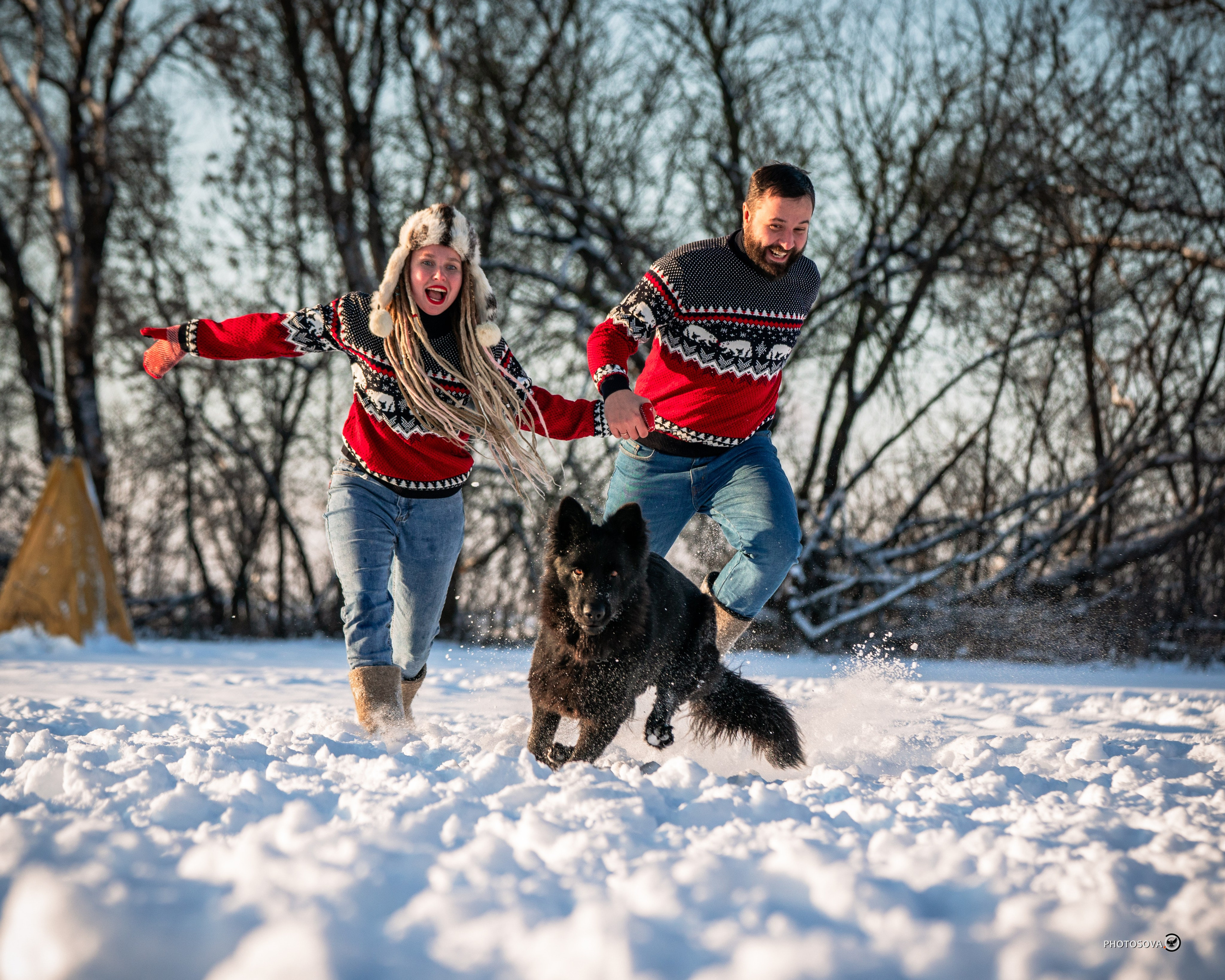 ФОТОПАМЯТЬ ВАШИХ ЭМОЦИЙ. Фотограф-анималист, семейный фотограф в Москве и Подмосковье. Фотосъёмка кинологических дисциплин