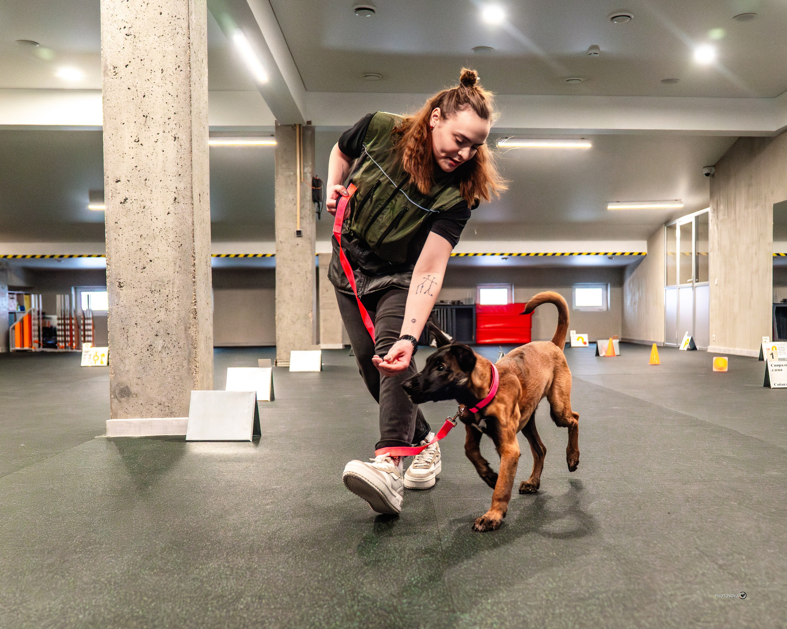 ТЫ И Я (соревнования по ралли-обидиенс). Фотограф-анималист, семейный фотограф в Москве и Подмосковье. Фотосъёмка кинологических дисциплин
