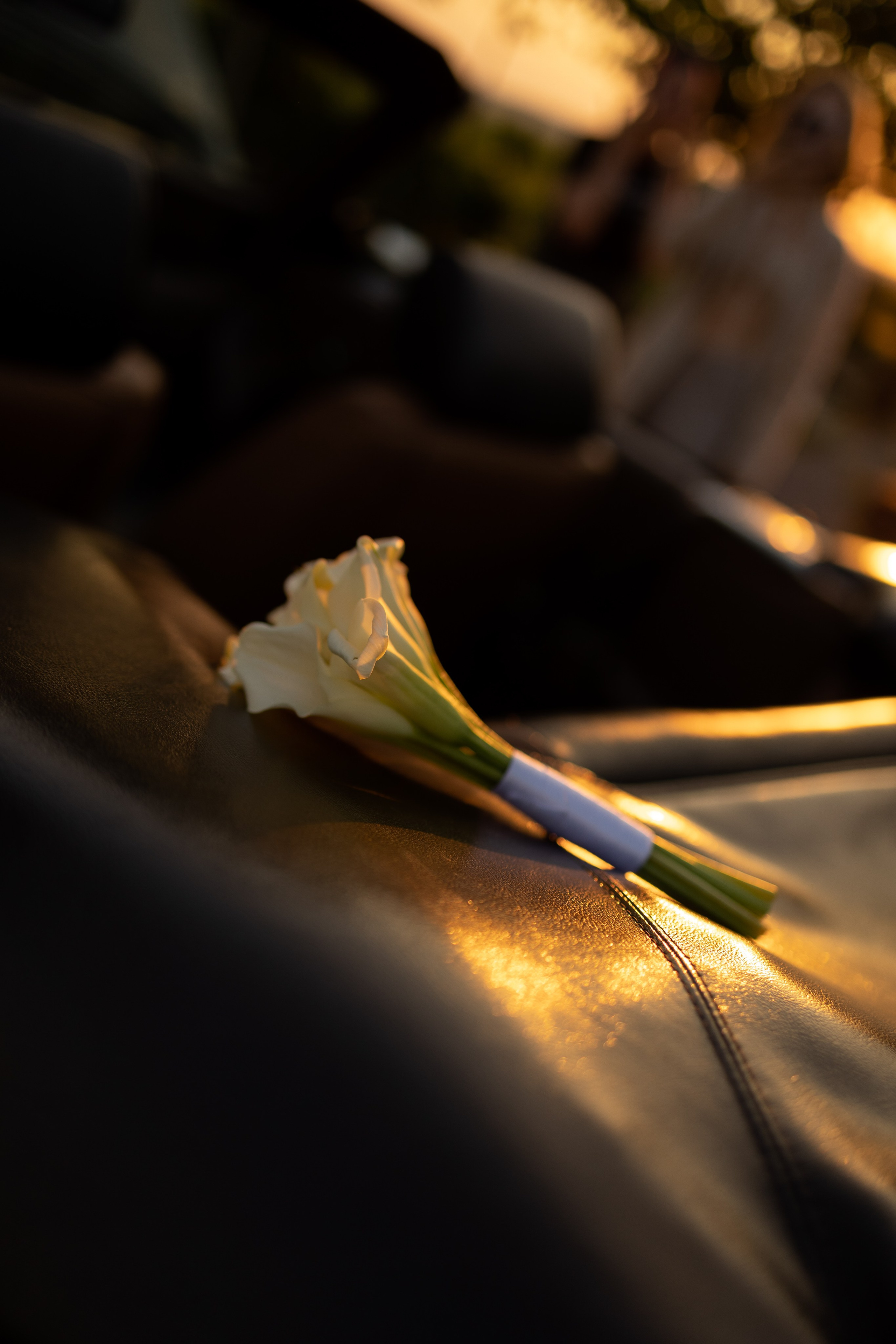 Оксана и Артём. Свадебный Фотограф Светлана Карпенко Ростов-на-Дону