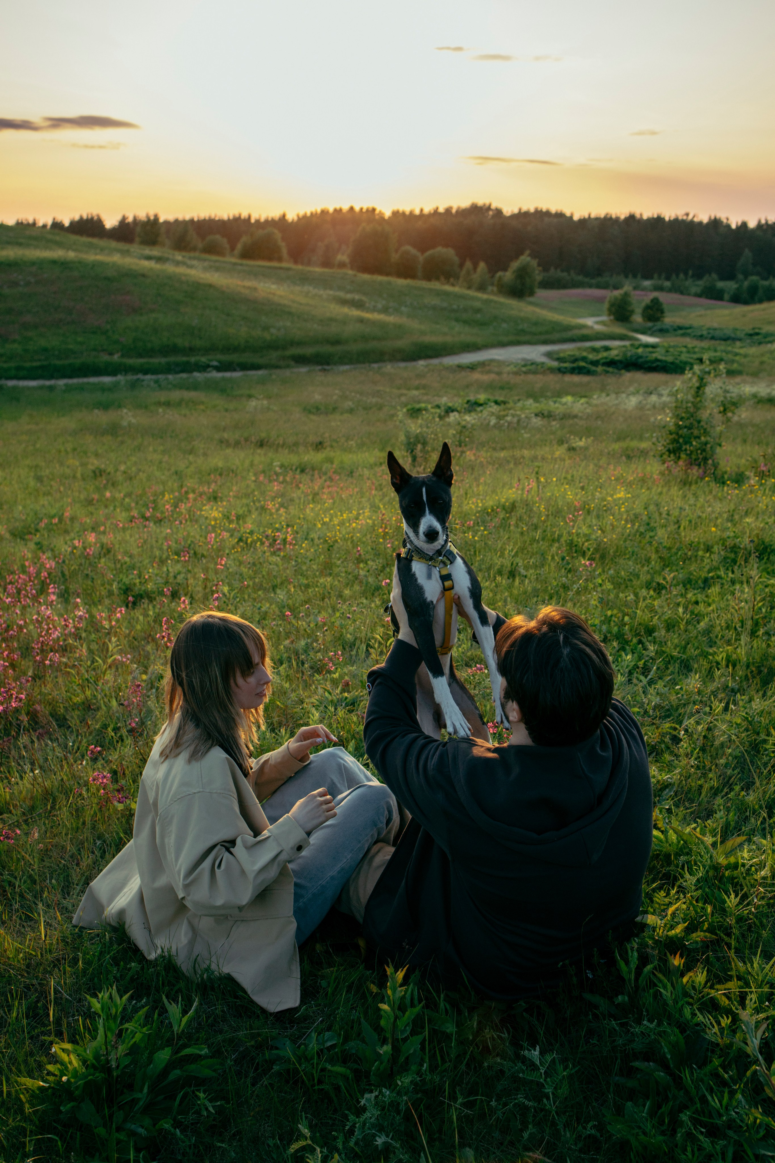 Итачи и его семья 🐾. Фотограф-анималист в Санкт-Петеребурге Титова Алиса