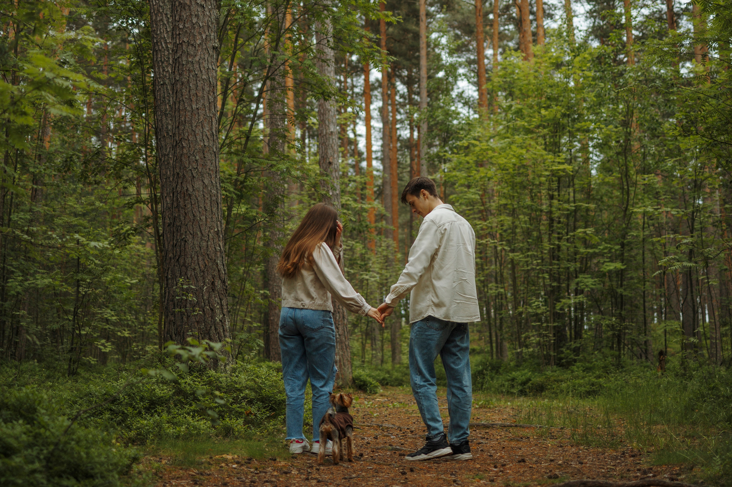 День из жизни Чуи и его семьи. Фотограф-анималист в Санкт-Петеребурге Титова Алиса
