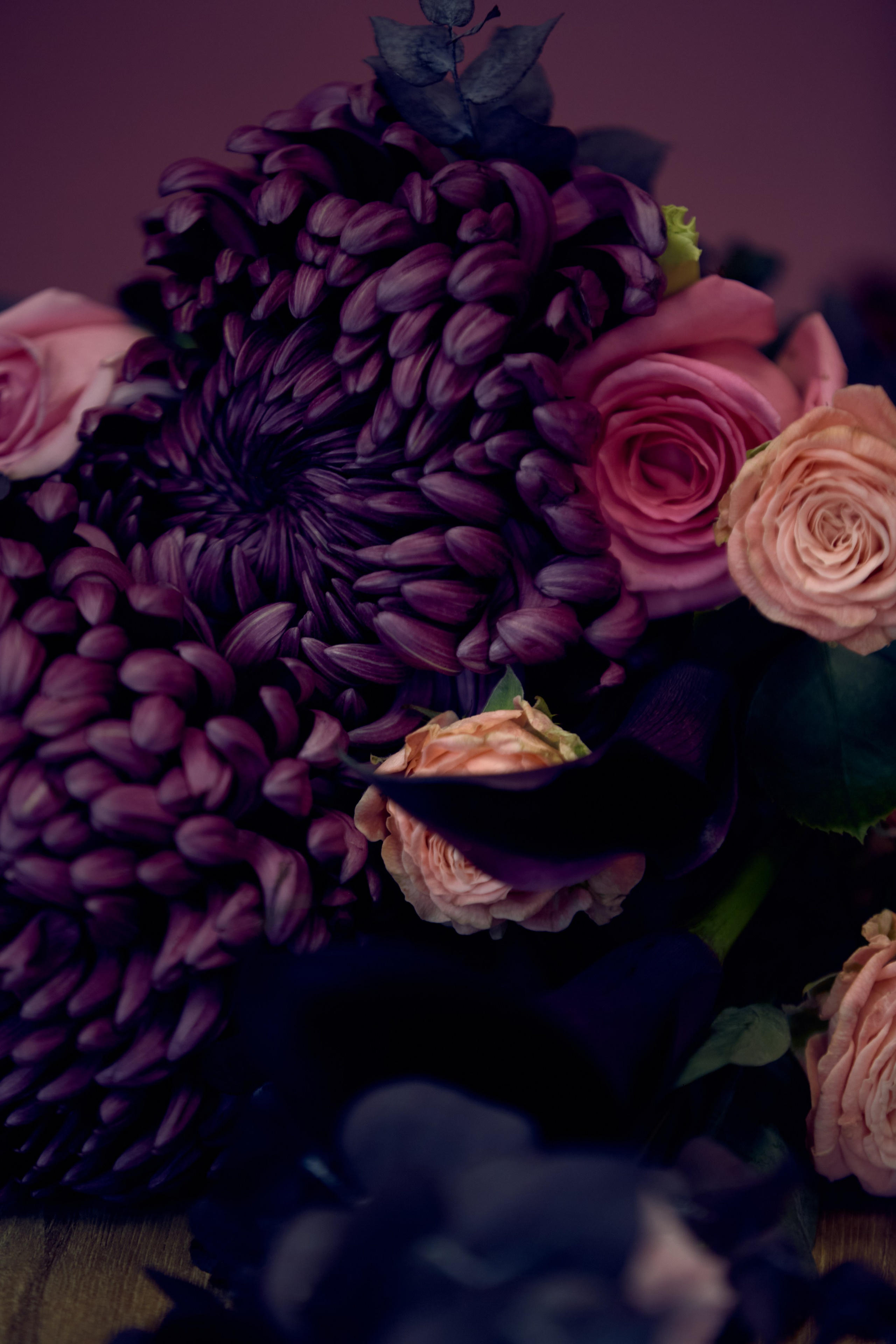 ART-HAOS. Фотограф видеограф в Москве и Московской области Саша Секрет