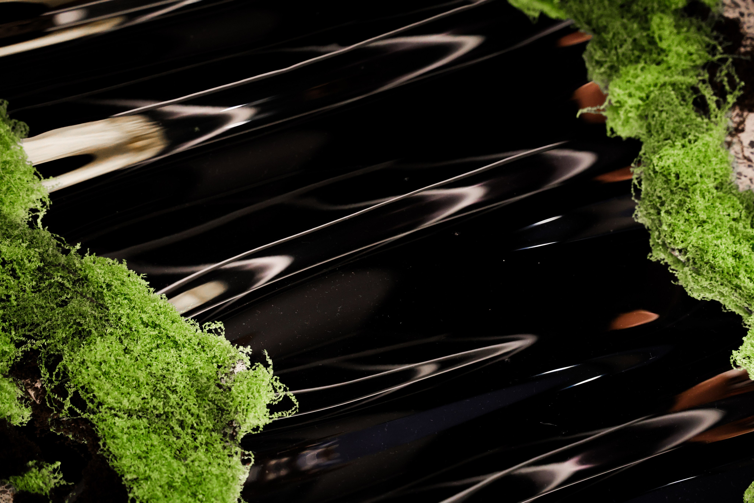 Nuit Blanche 2025. Portrait photographer based in Toronto — Blinova Mariia