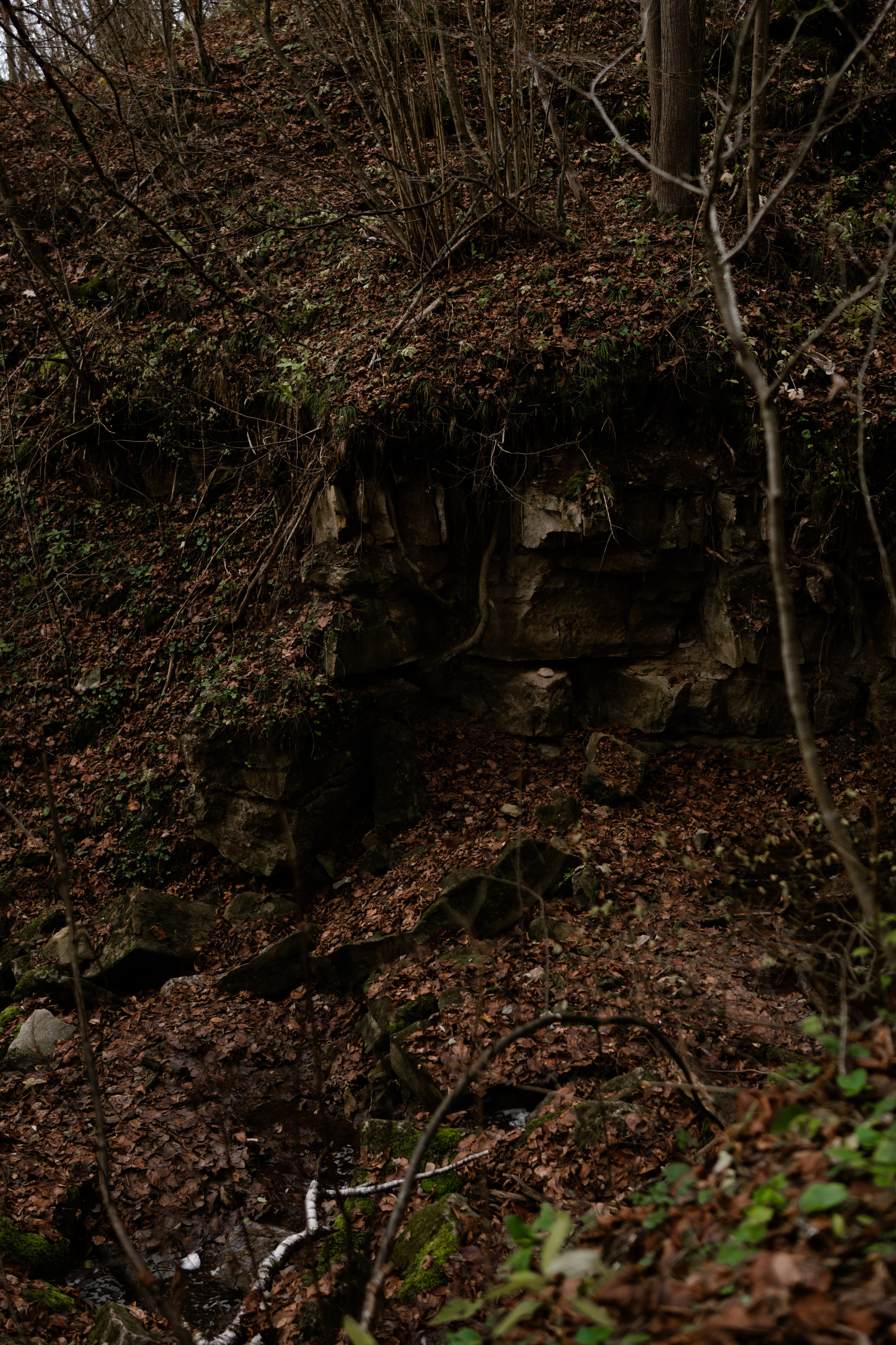 Кольцовские пещеры. Vlad Trykov