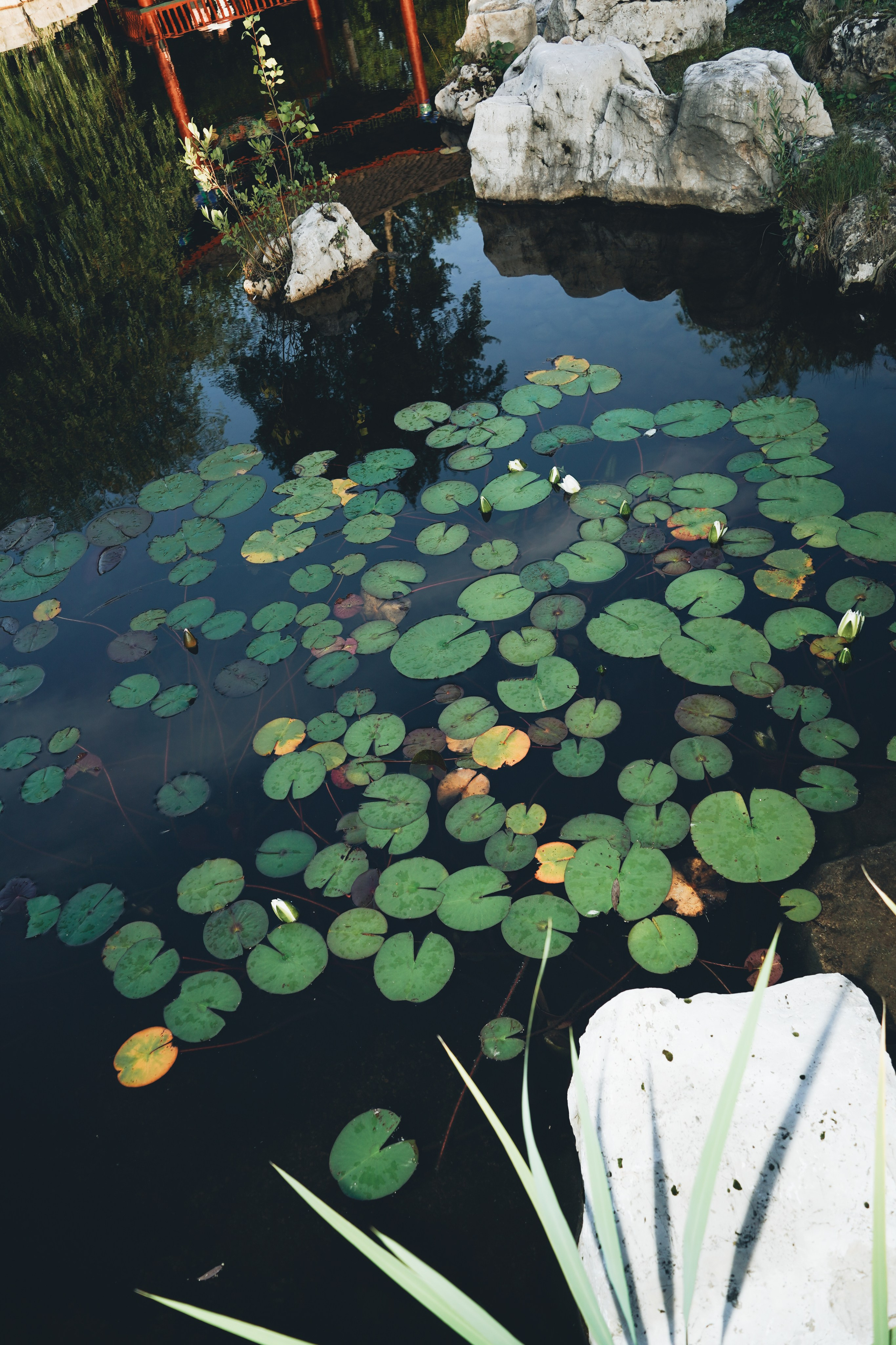 Portfolio 2025. Sasha Speranskii — Conceptual Photographer | Based in Moscow