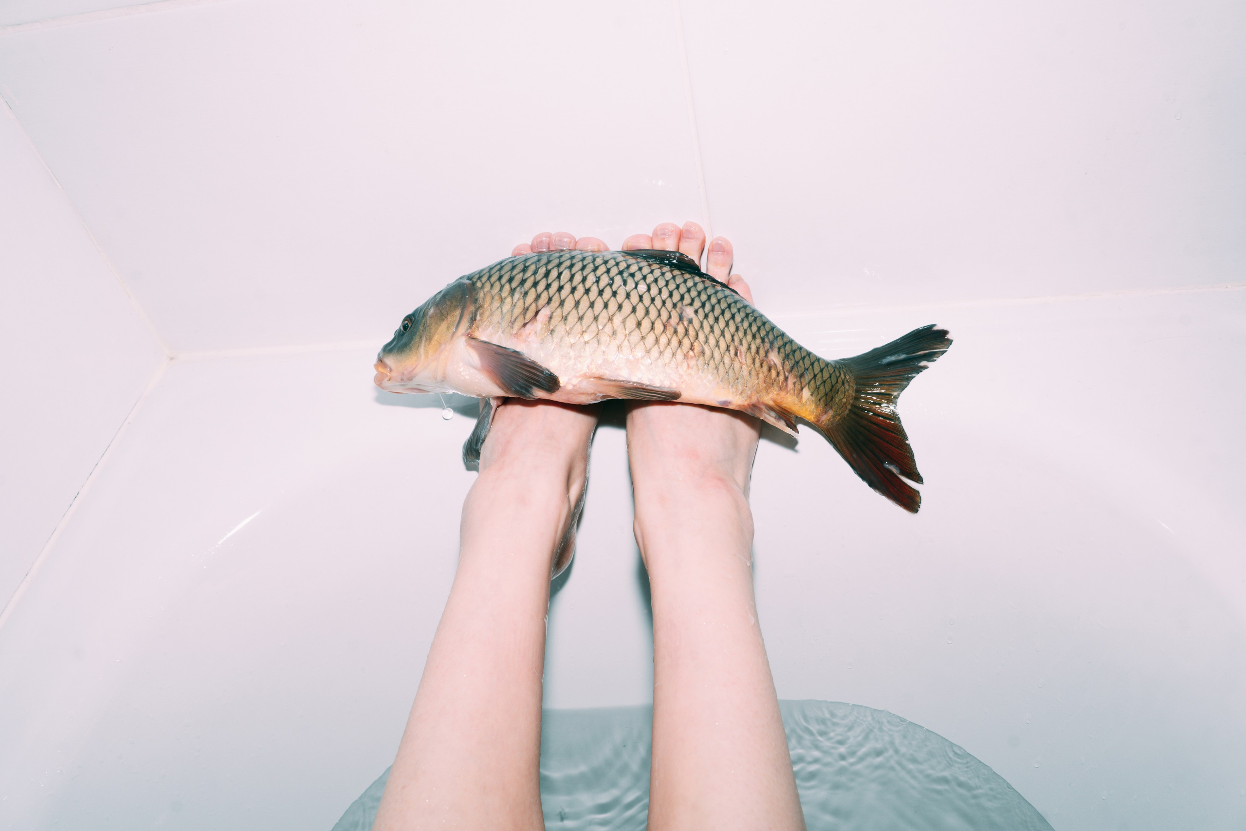 Carp Grisha. Sasha Speranskii — Conceptual Photographer | Based in Moscow