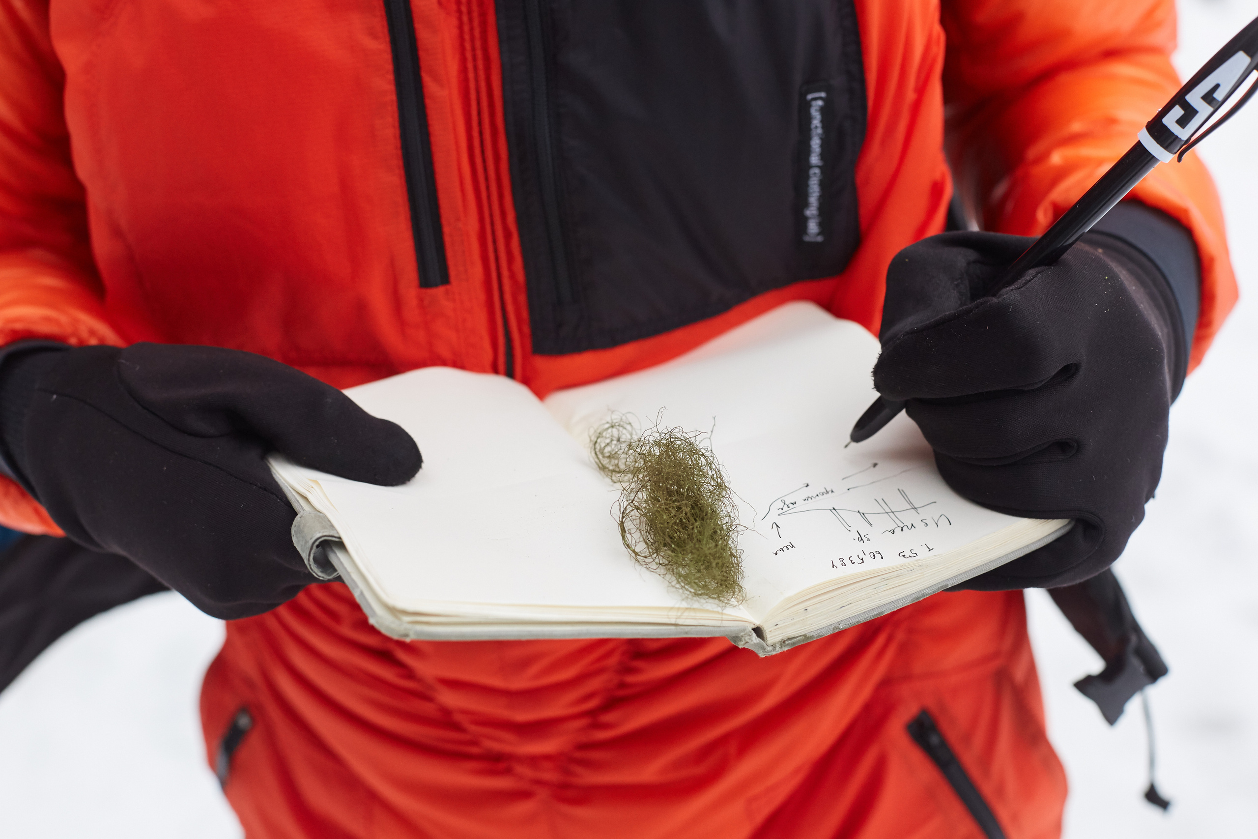 Functional Clothing Lab (winter). Анастасия Зобнинá — фотограф в Санкт-Петербурге/СПб