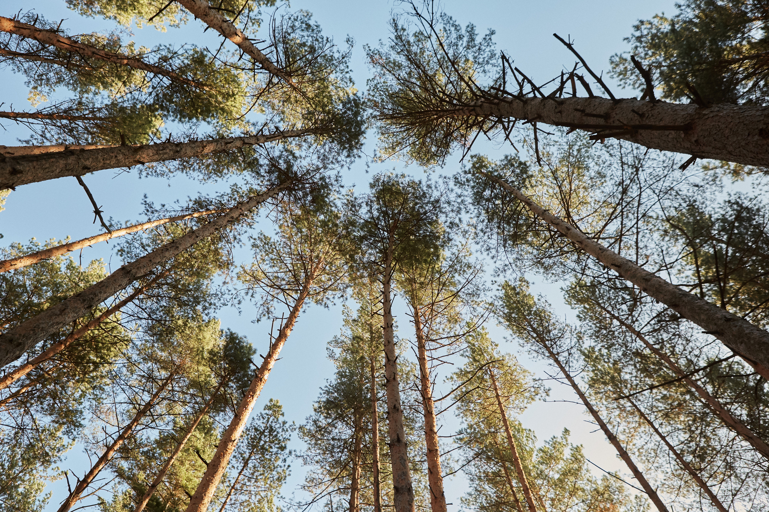 Functional Clothing Lab (fall). Анастасия Зобнинá — фотограф в Санкт-Петербурге/СПб