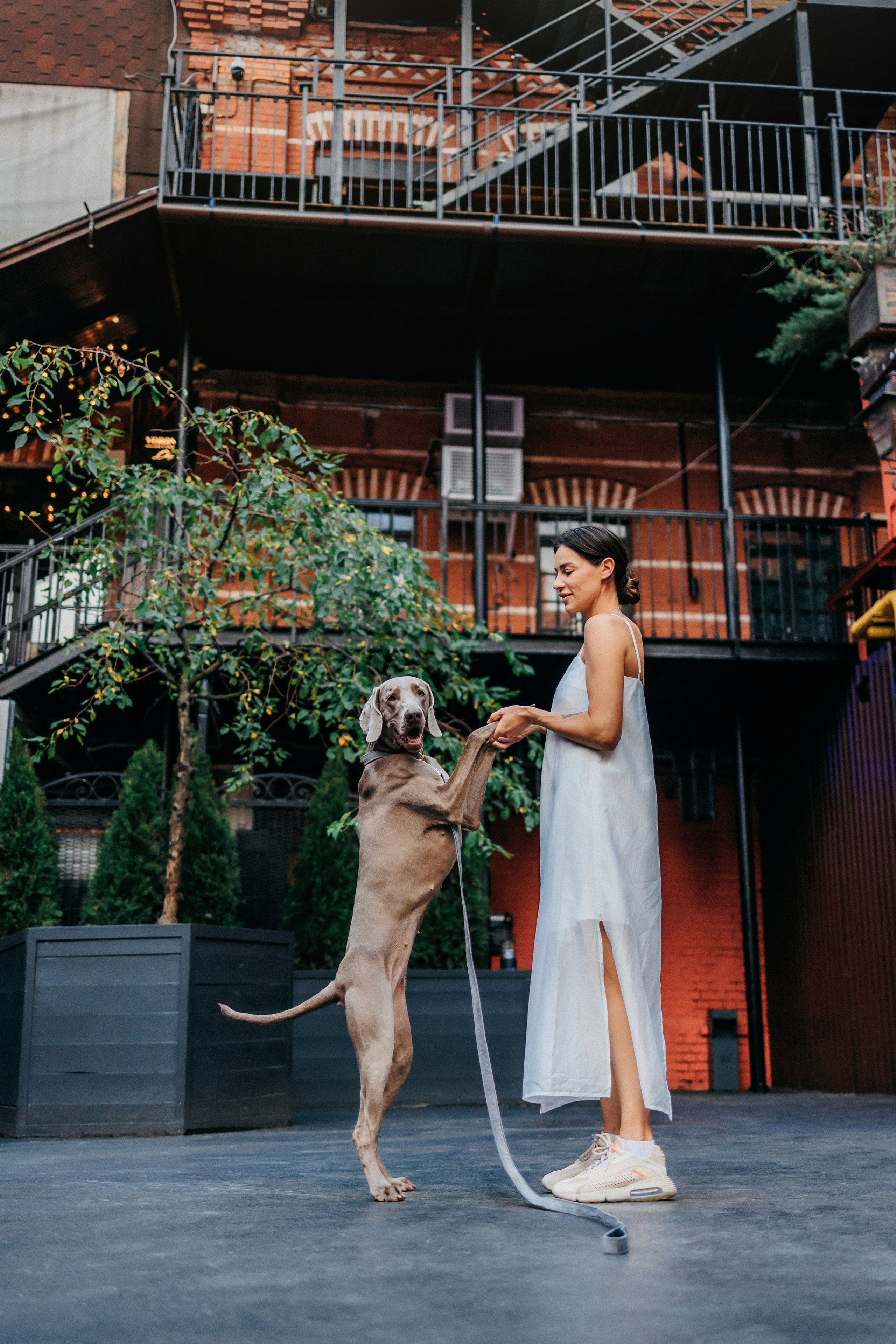 Соня и Майли. Фотограф-анималист Елена Радченко, Москва