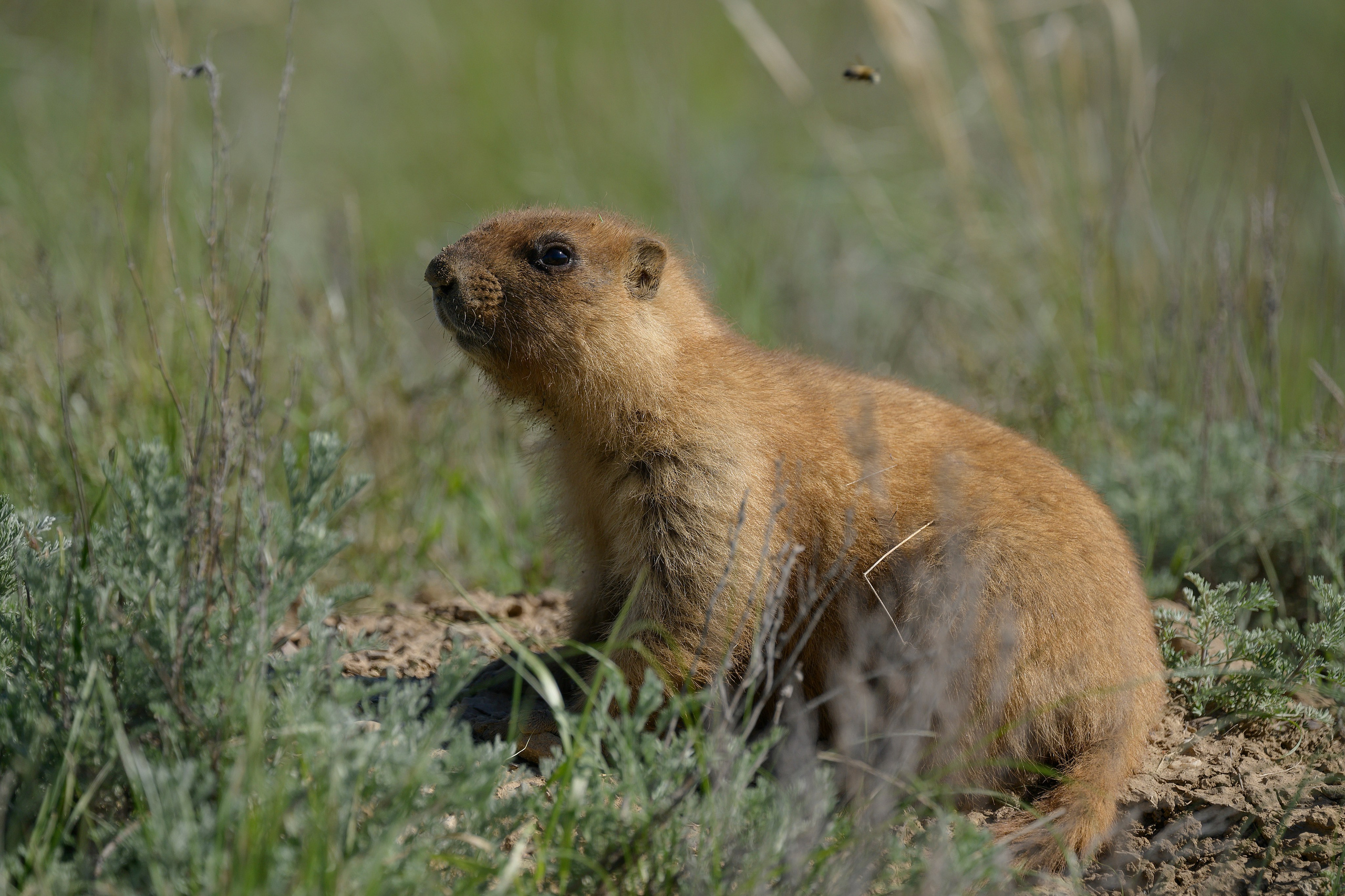 Оренбуржье. Портретный фотограф в Челябинске Катерина Руди