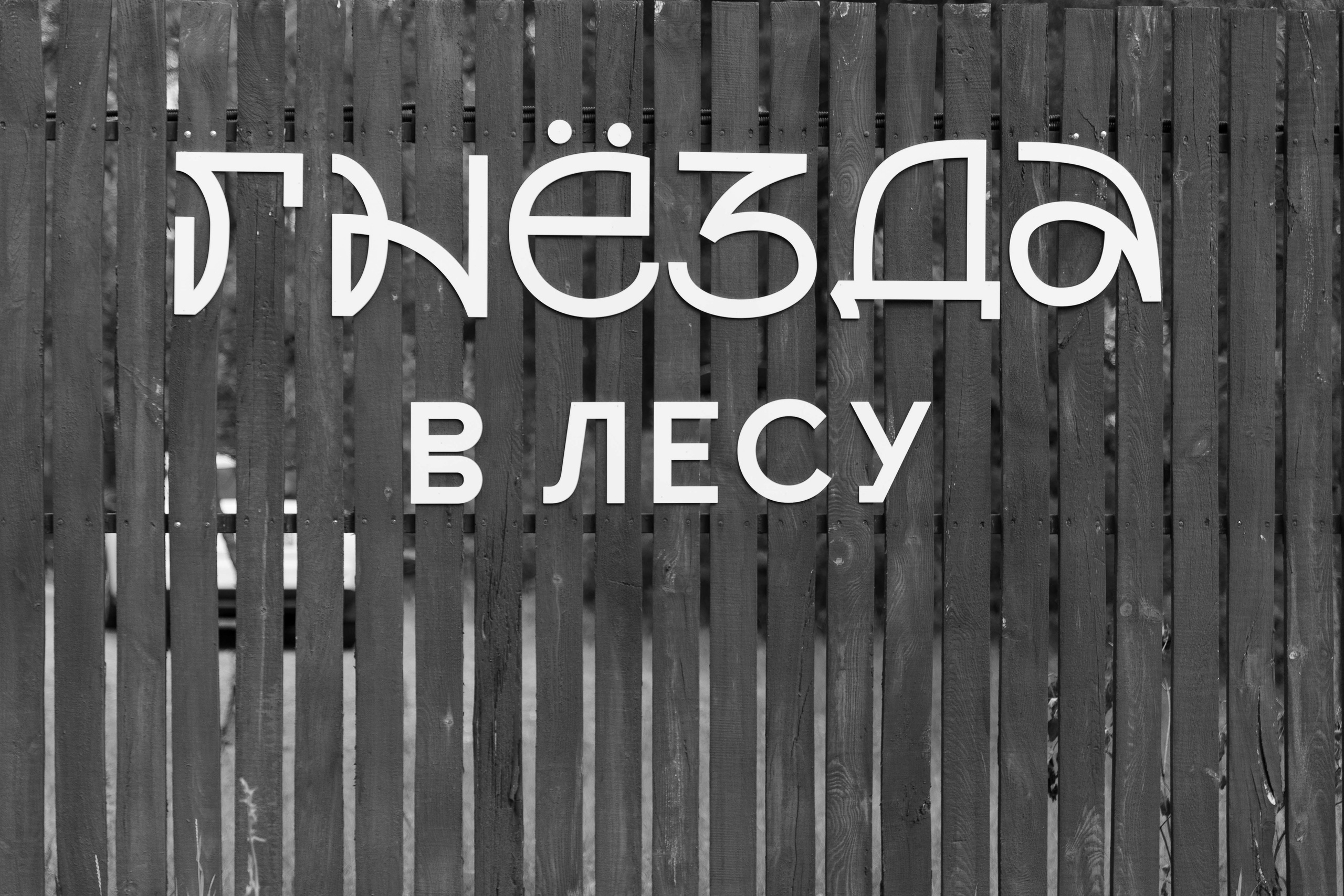 Вероника и Максим. Я Ира и я фотографирую свадьбы более 10 лет