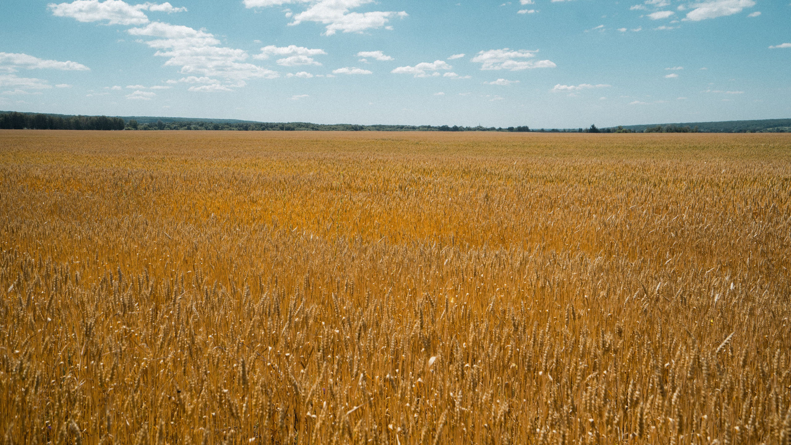 Белгород. Фотограф Алиса Аспер